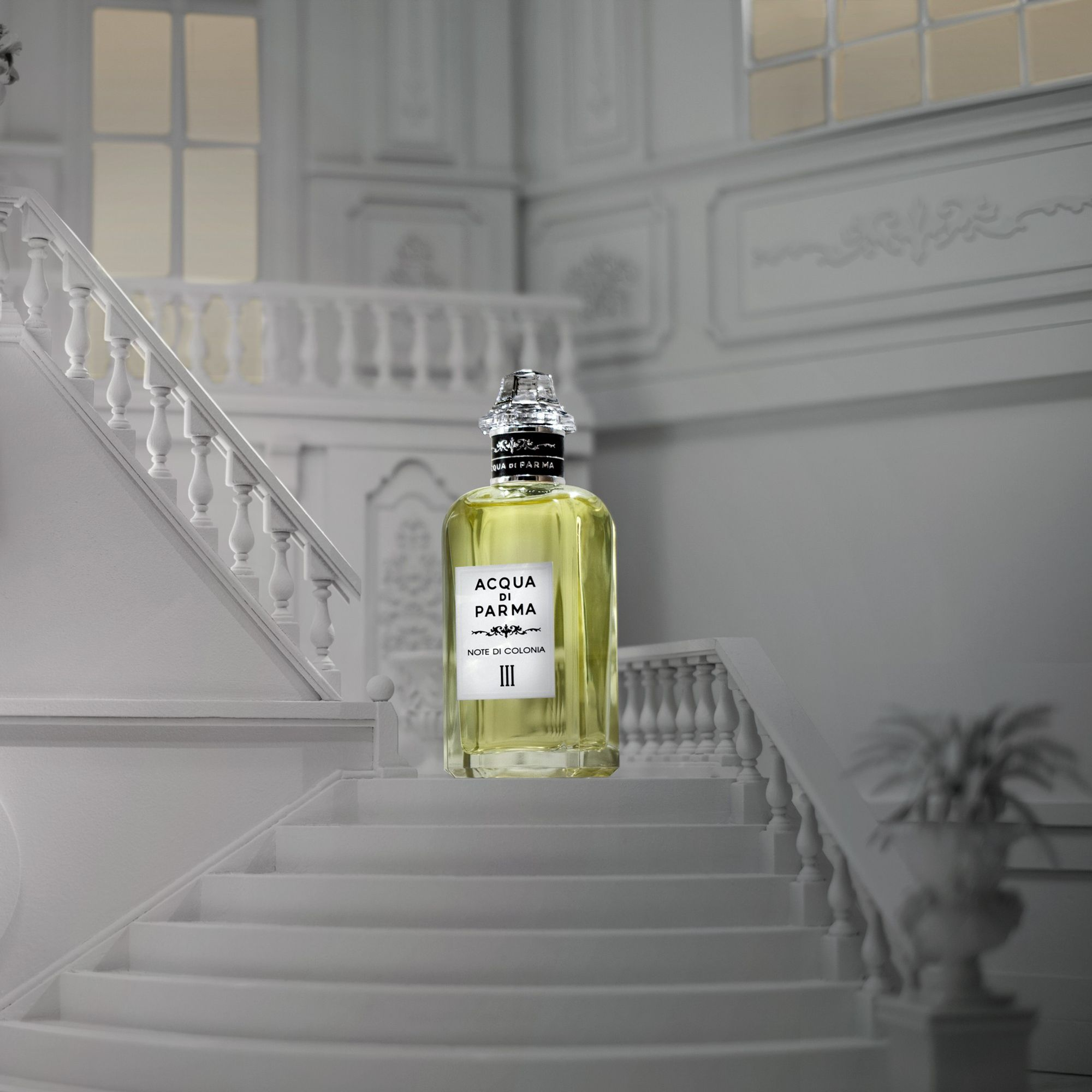 Note di Colonia III Colonia Collection 5.1 oz. — Image 3
