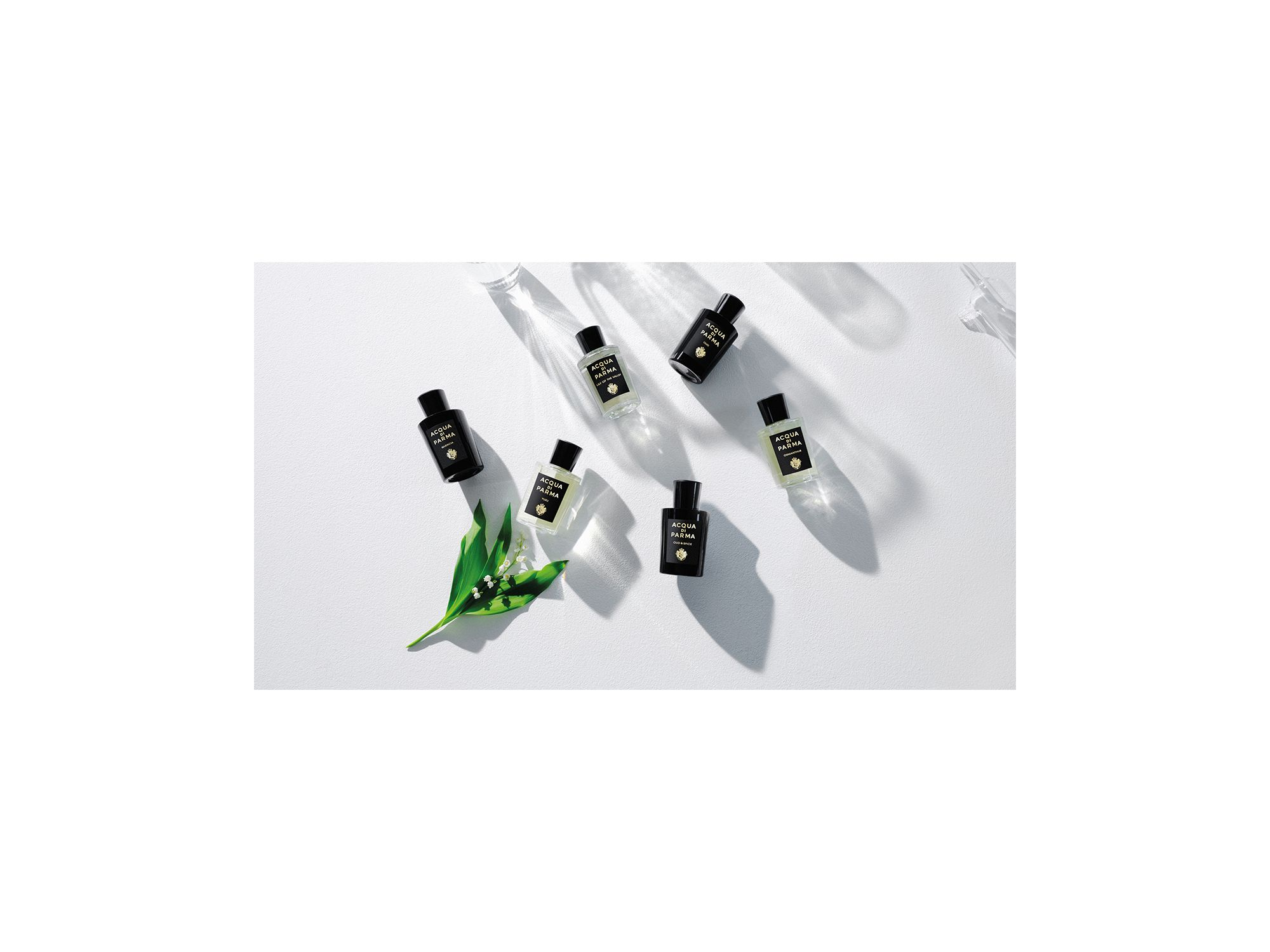 Osmanthus Eau de Parfum 3.4 oz. — Image 5