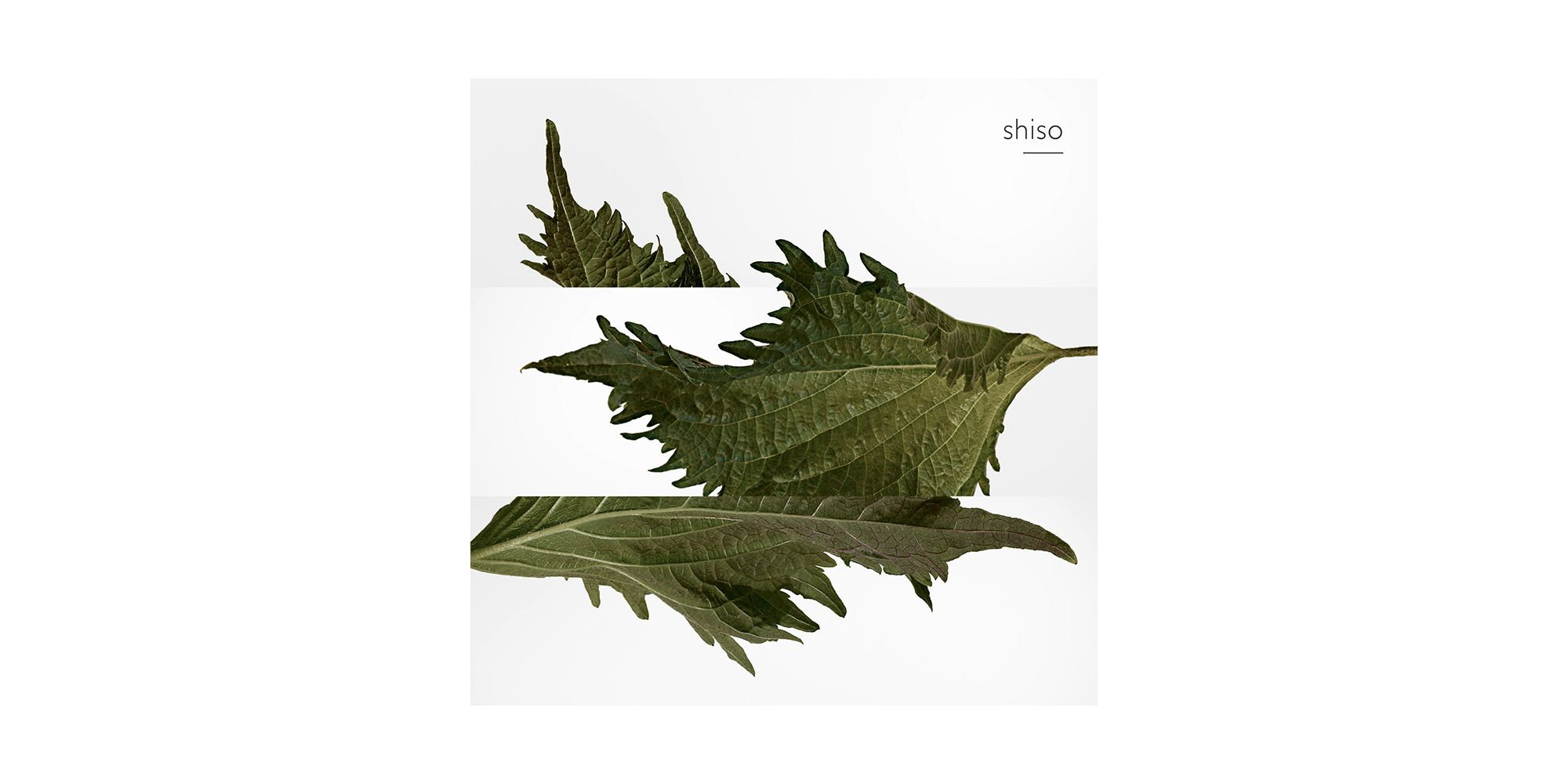 Terre d'Hermès Pure Perfume Natural Spray — Image 5