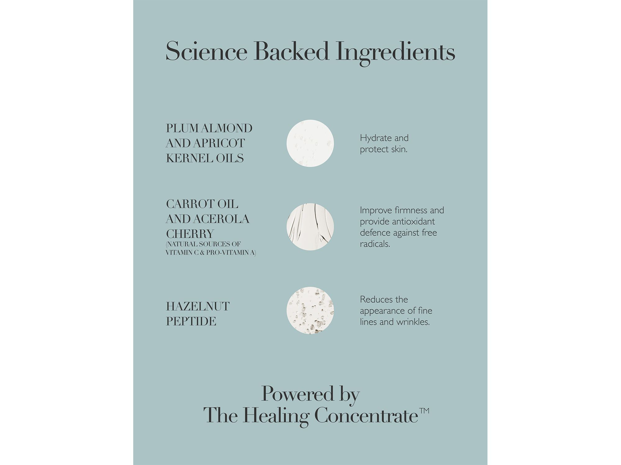 Rejuvenating Night Cream 1.7 oz. — Image 6