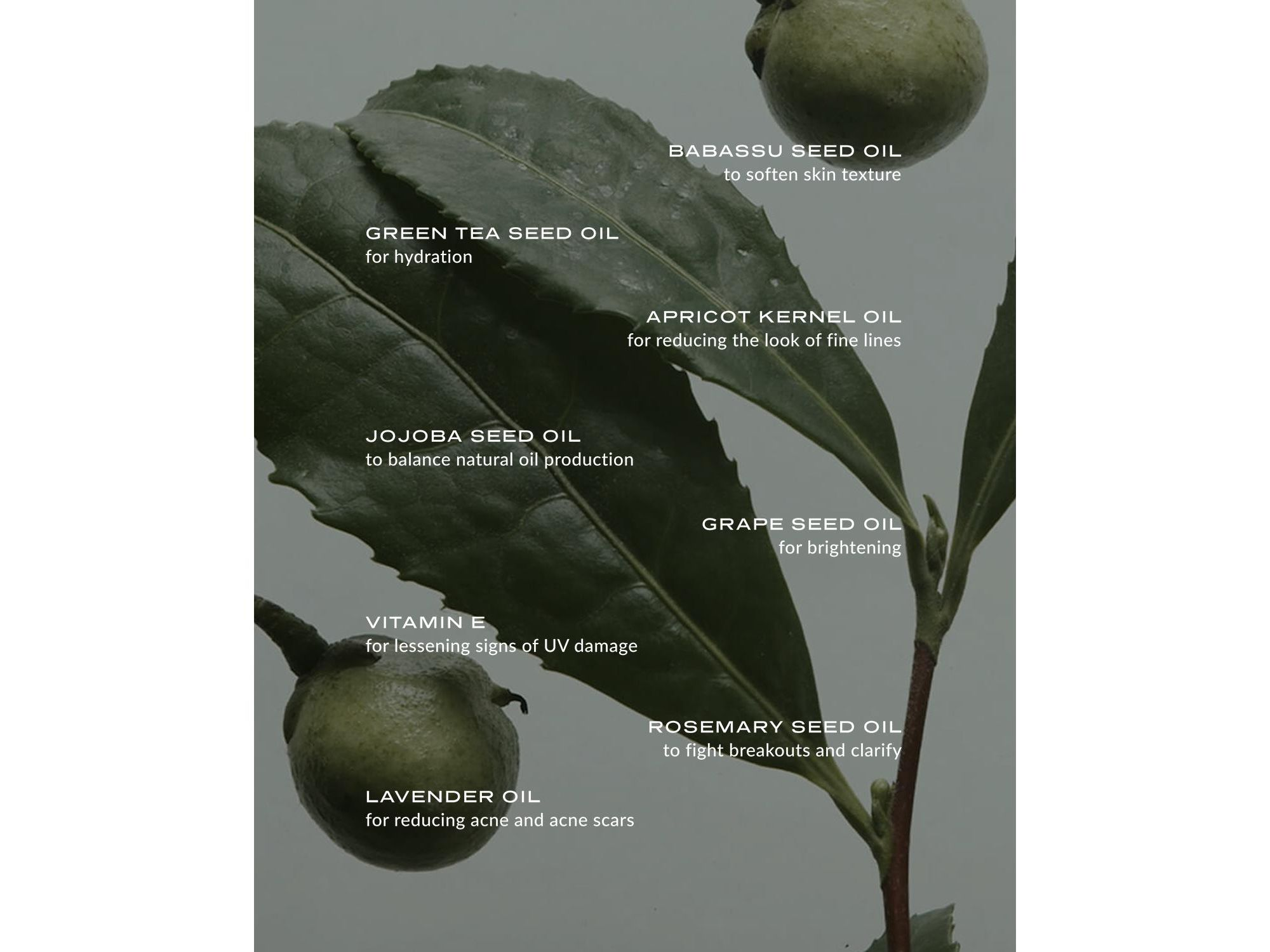 Phyto Green Cleansing Balm & Jade Spatula — Image 6