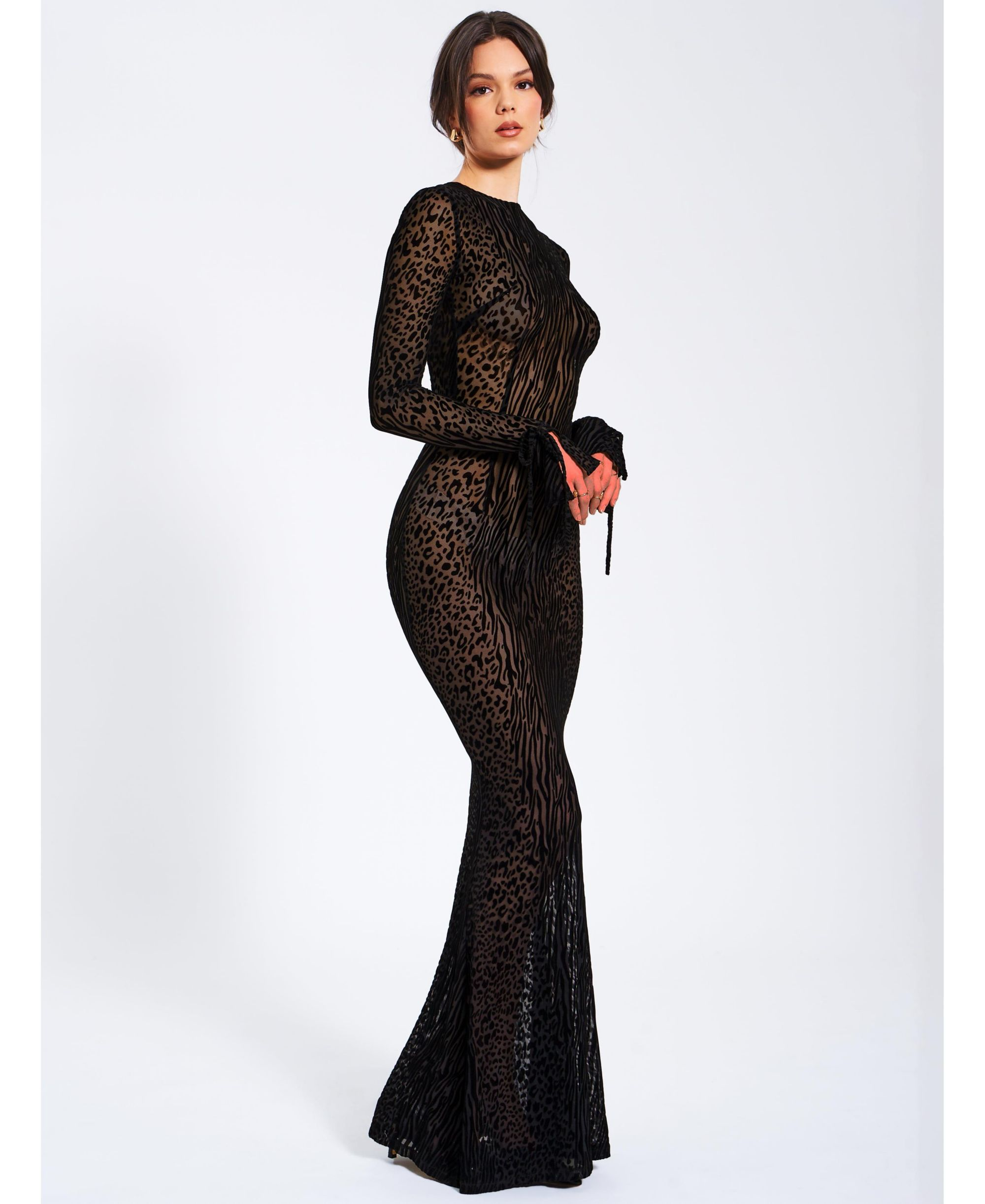 Waylynn Print Burnout Velvet Detail Mesh Maxi Dress — Image 9