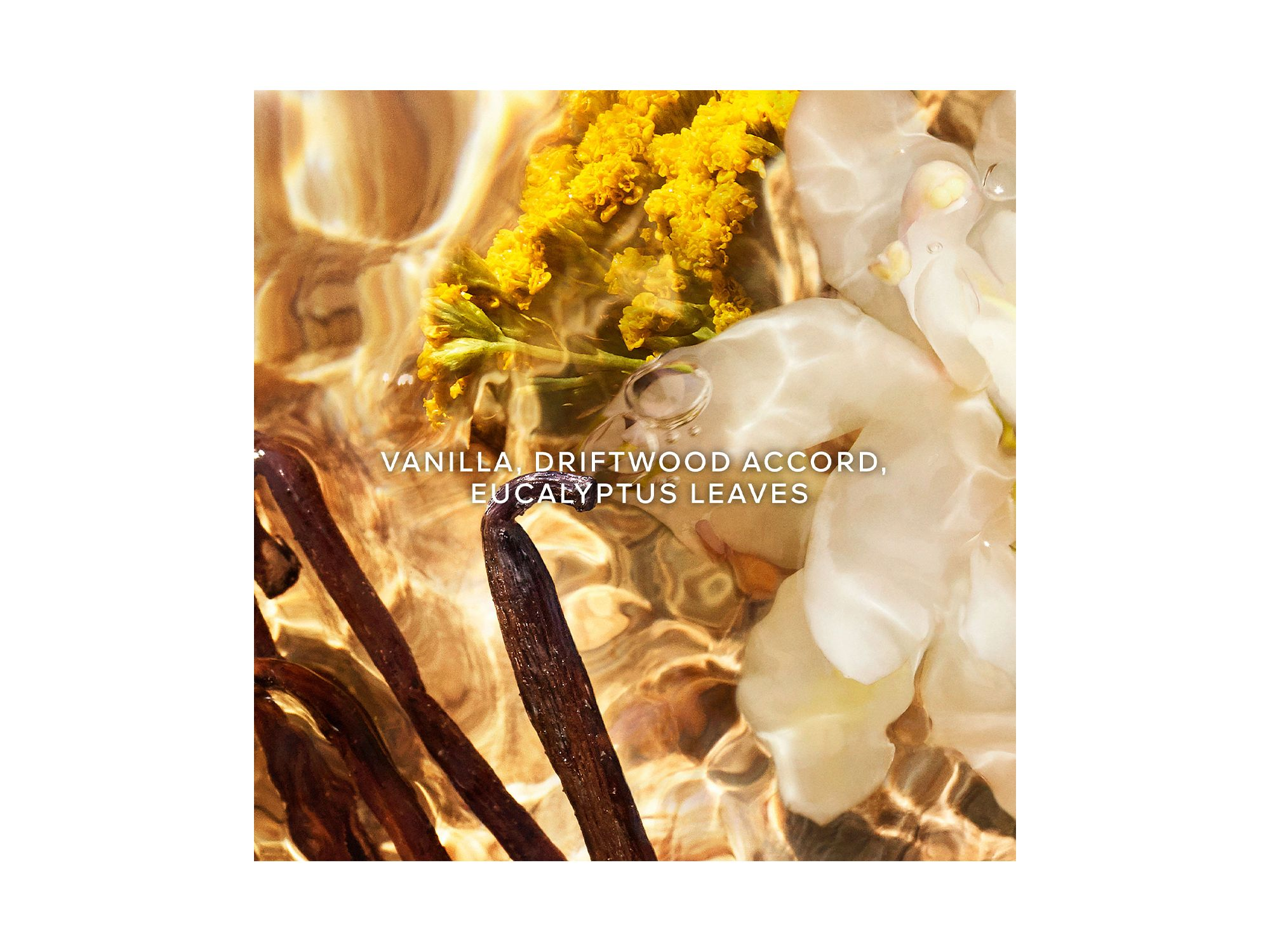 Aqua Allegoria Bosca Vanilla Forte Eau de Parfum 4.2 oz. — Image 4
