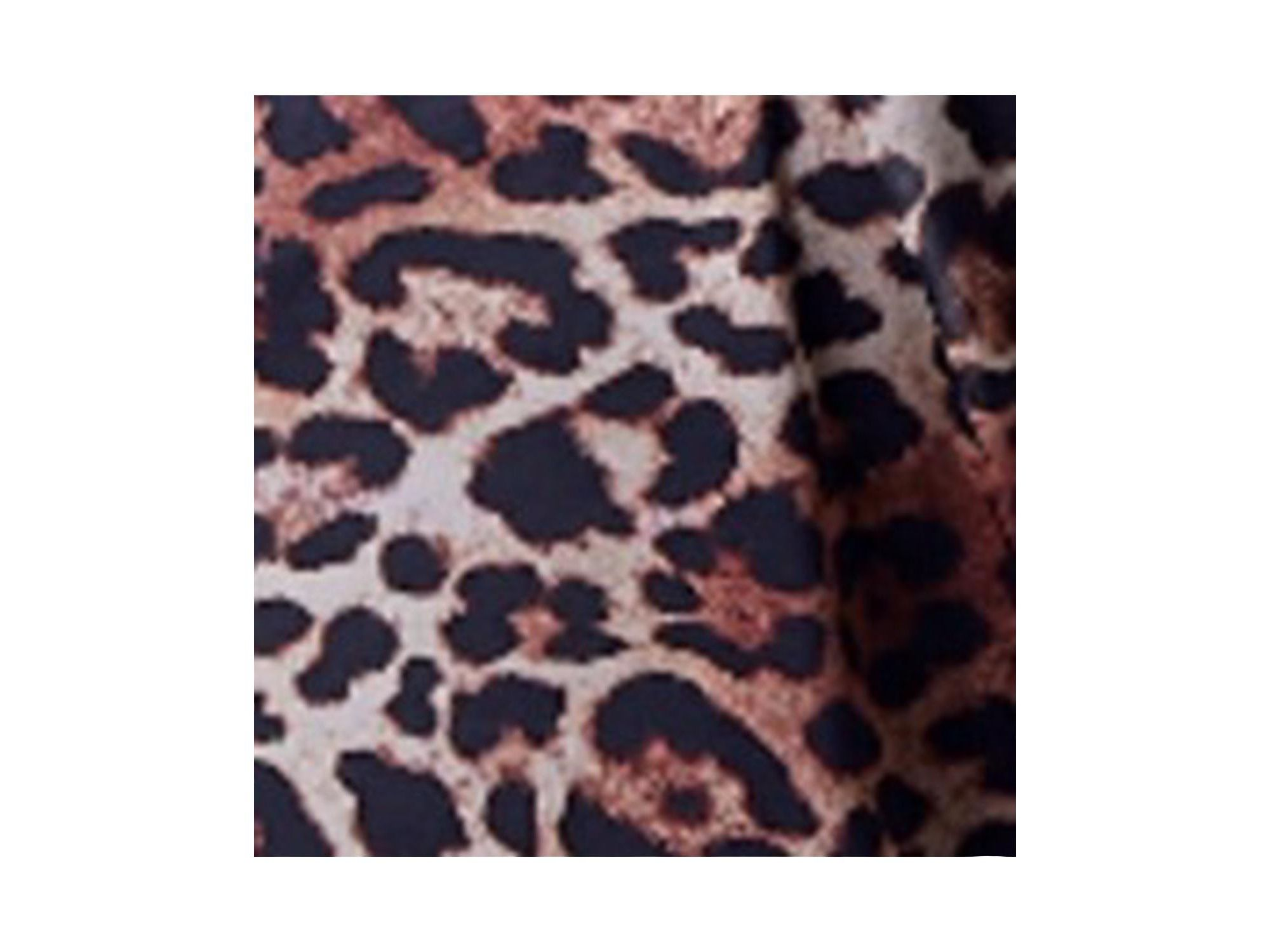 Bold Leopard Print Mini Dress — Image 3