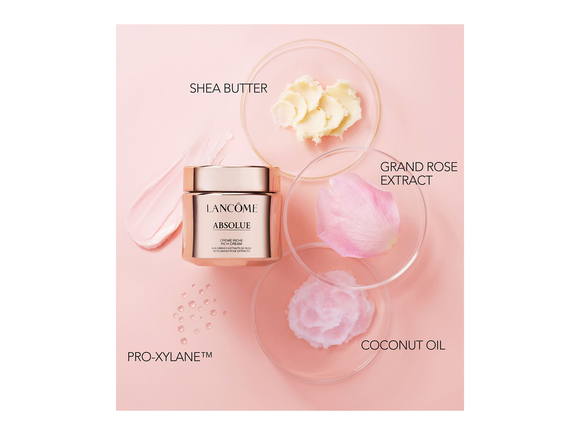 Absolue Revitalizing & Brightening Rich Cream and Refill — Image 4