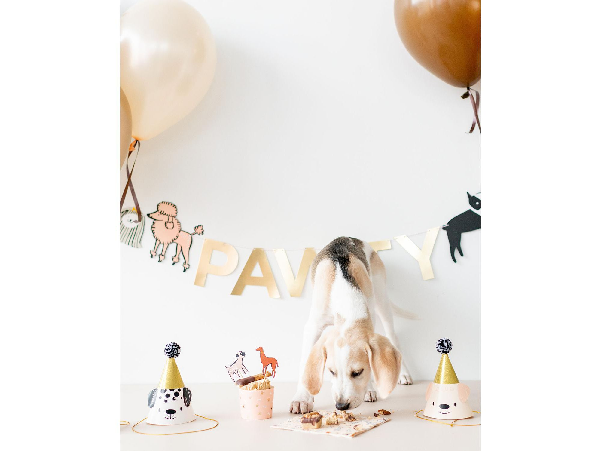 Bow Wow Puppy Dog Birthday Party Hats, Set of 8, 2 of Each Style Per Pack — Image 3