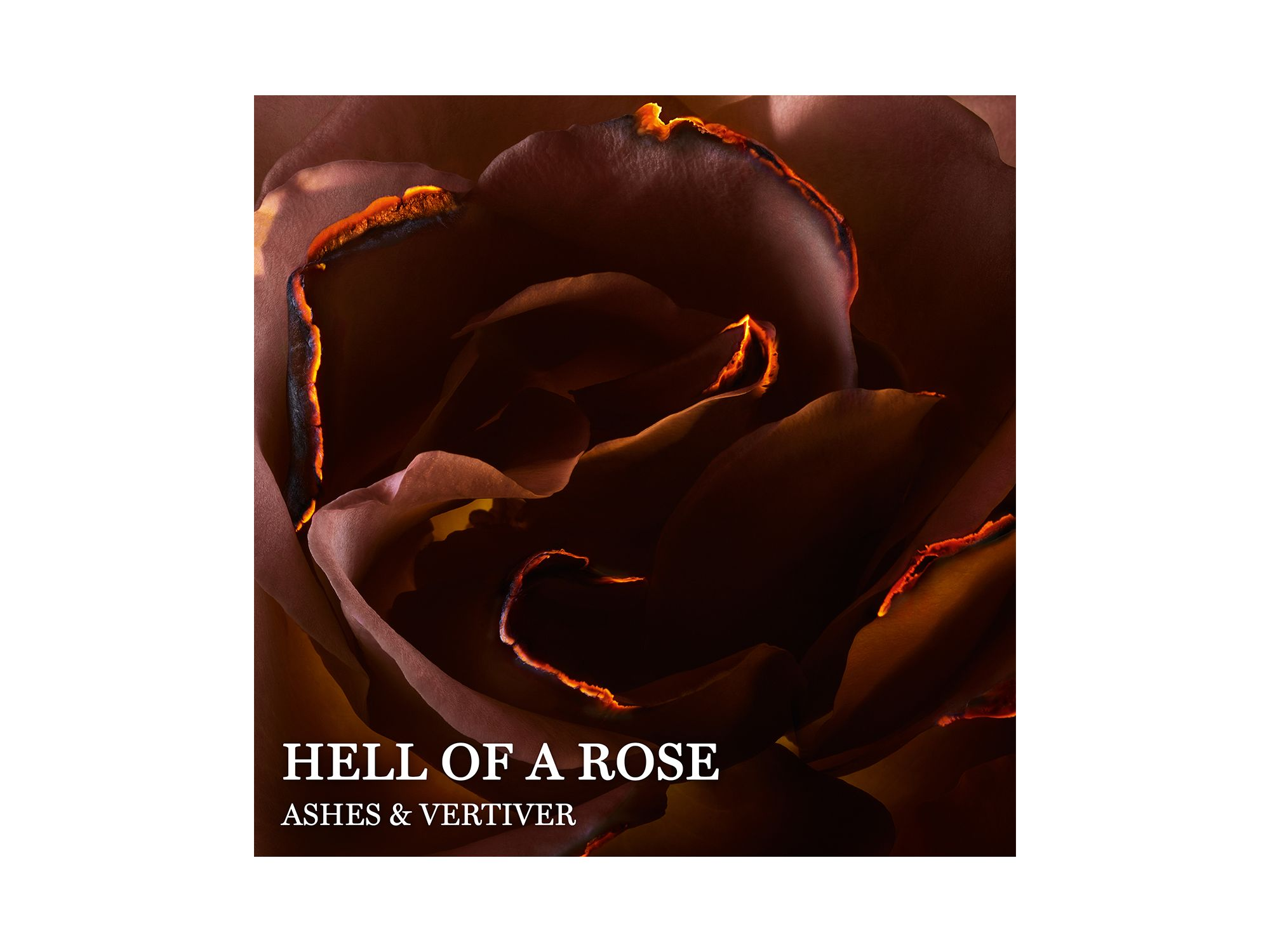 Absolue Hell of a Rose Eau de Parfum 3.4 oz. — Image 4