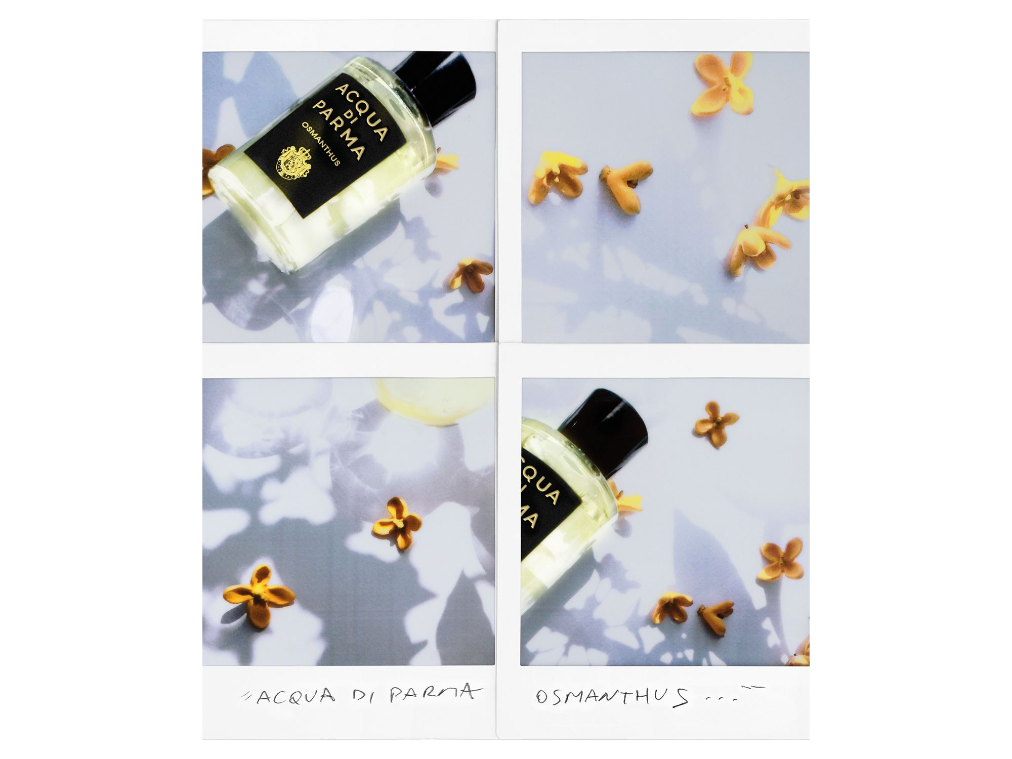 Osmanthus Eau de Parfum 3.4 oz. — Image 3