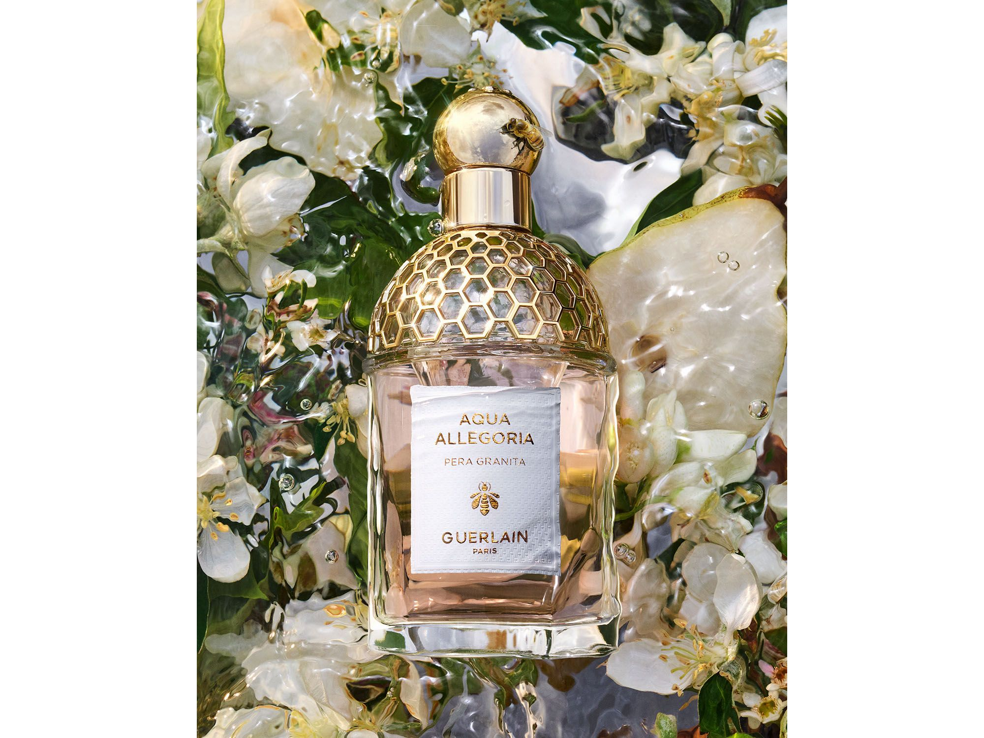 Aqua Allegoria Pera Granita Eau de Toilette 4.2 oz. — Image 3