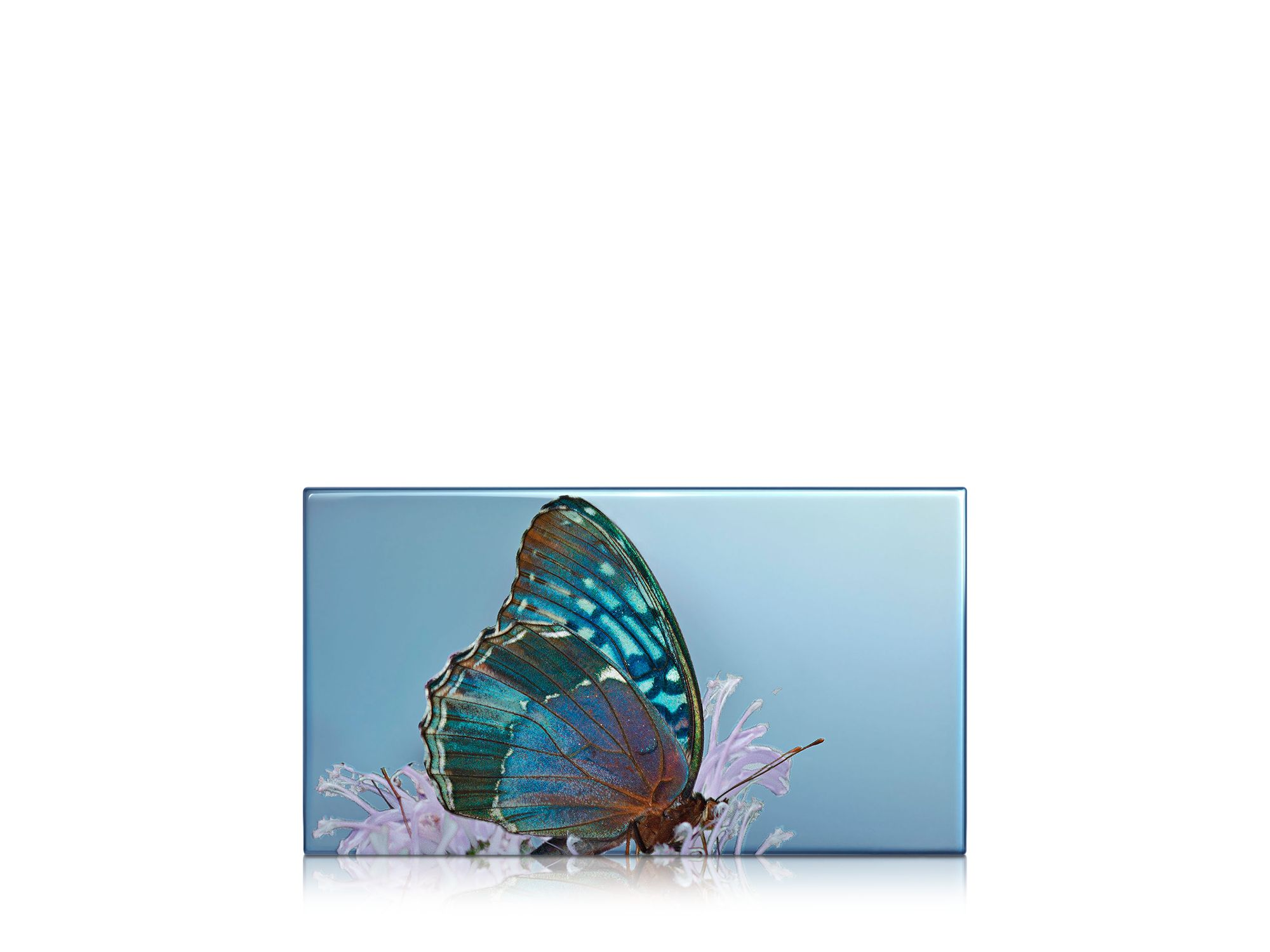 Limited Edition Les Papillons Eye Trio, Diana — Image 4