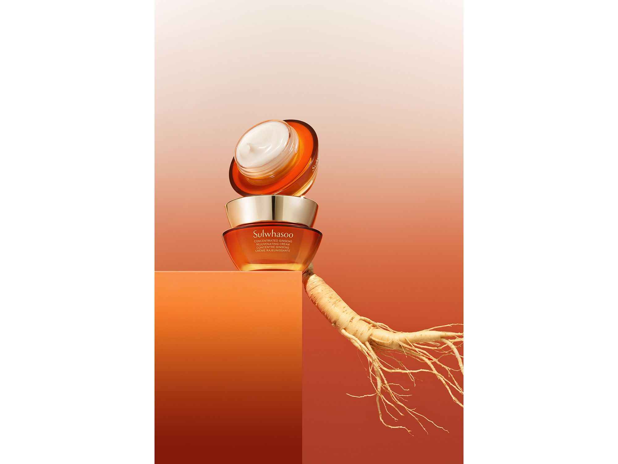 Concentrated Ginseng Rejuvenating Cream — Image 8