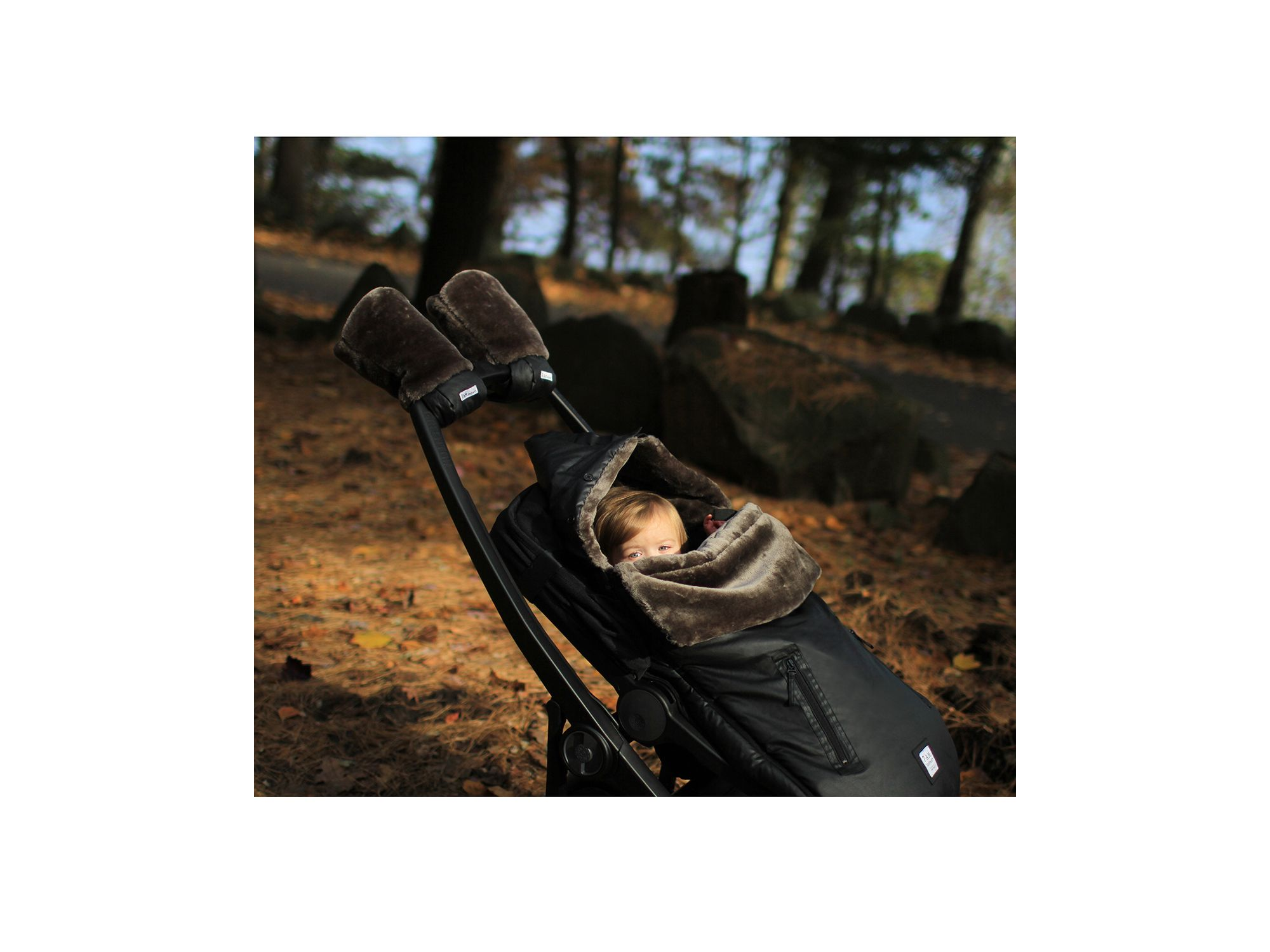 WaxedPOD — Image 5