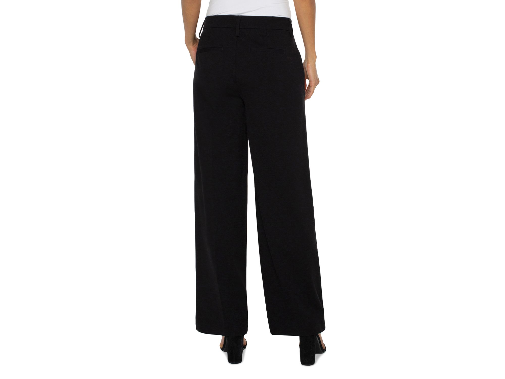 Kelsey High Rise Wide Leg Pants — Image 4