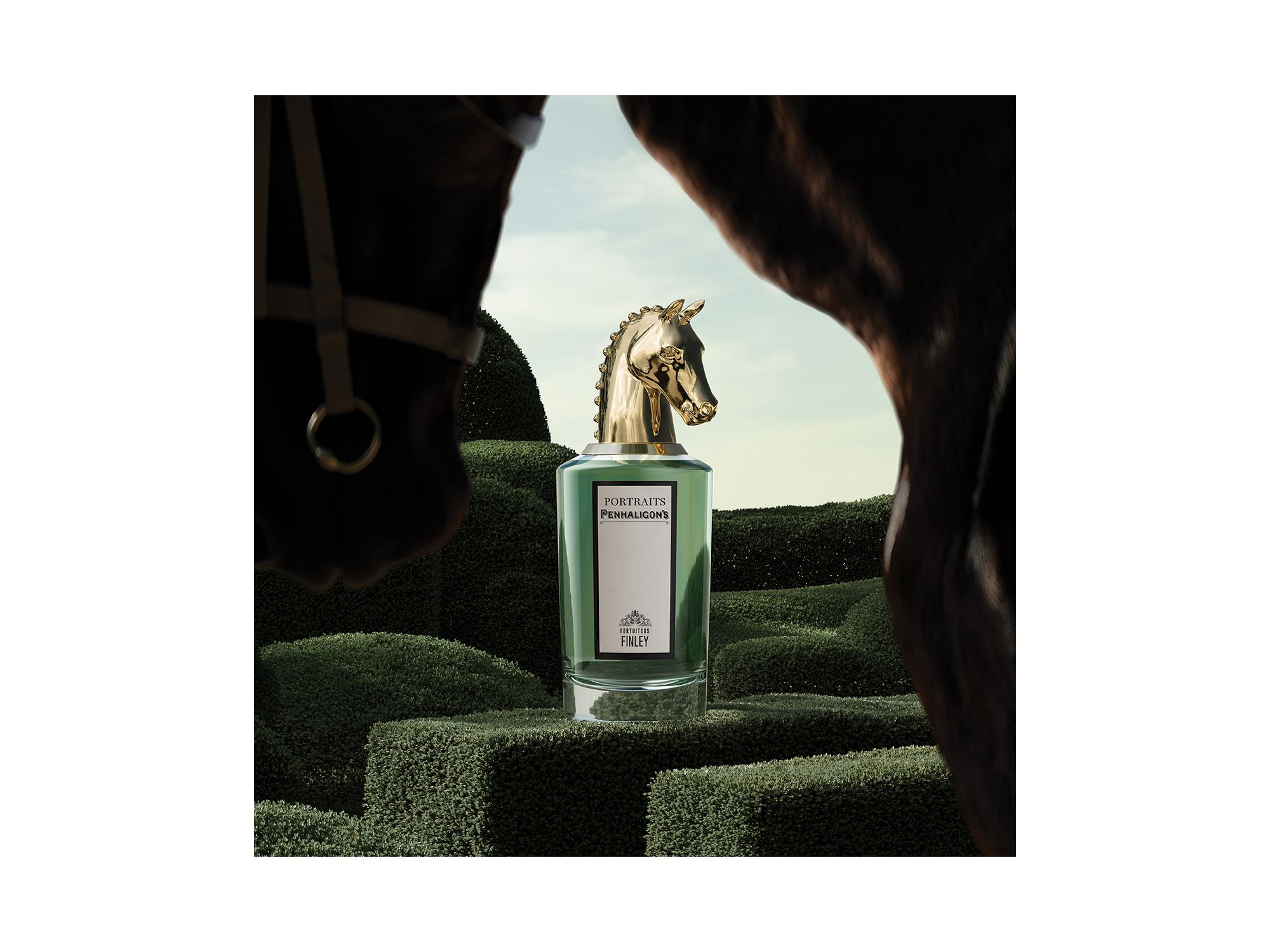 Fortuitous Finley Eau de Parfum 2.5 oz. — Image 3