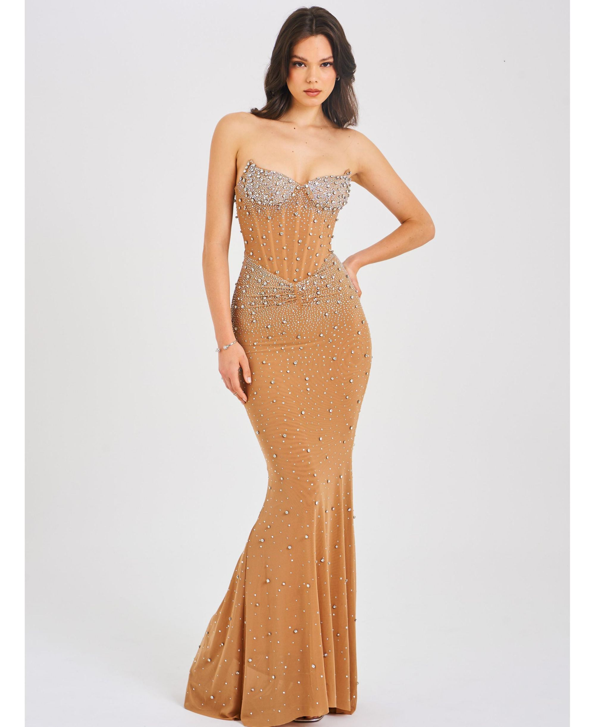 Fatima Embellished Sleeveless Corset Mermaid Maxi Dress — Image 6