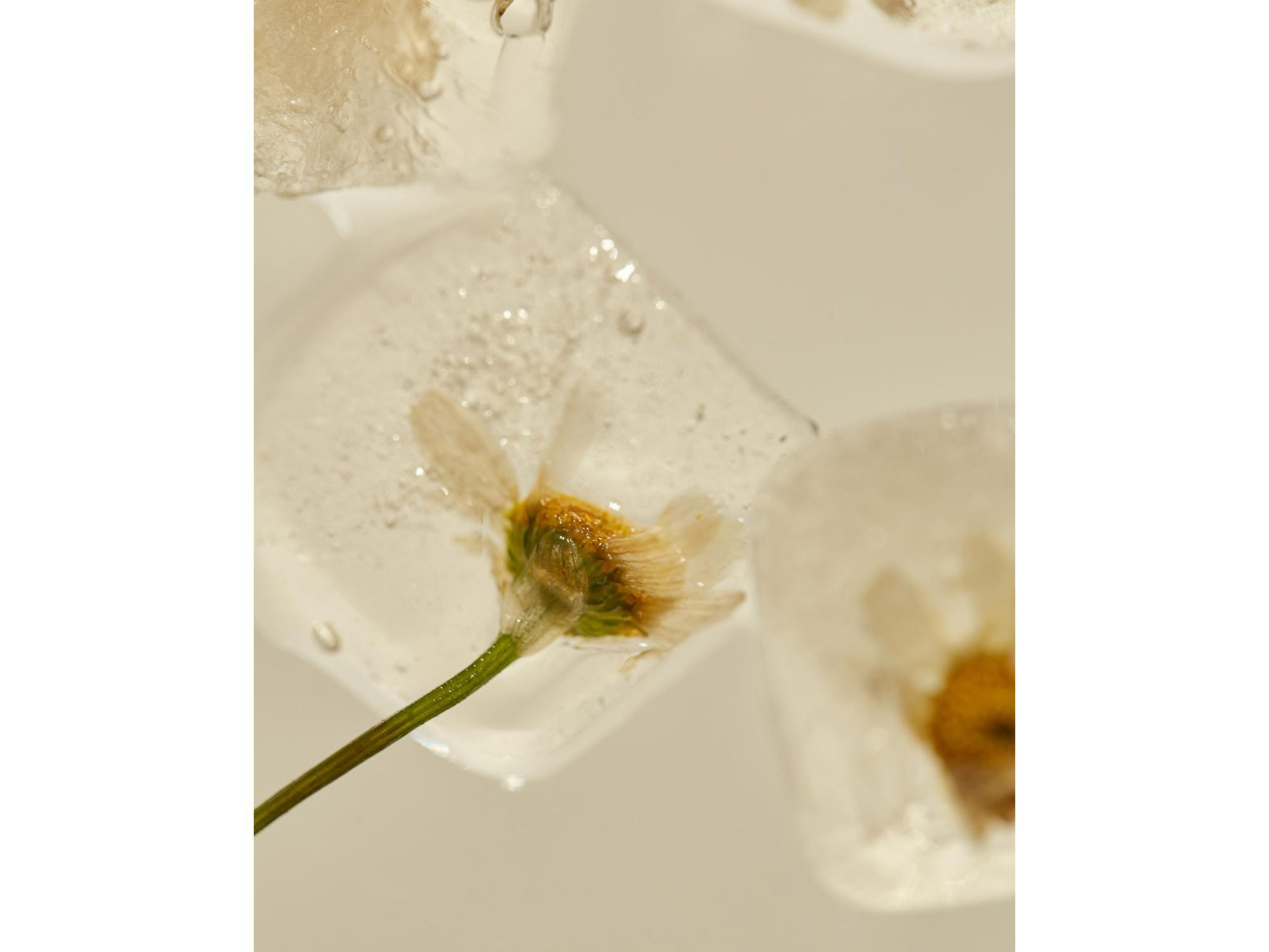 Relief Chamomile Cream — Image 6