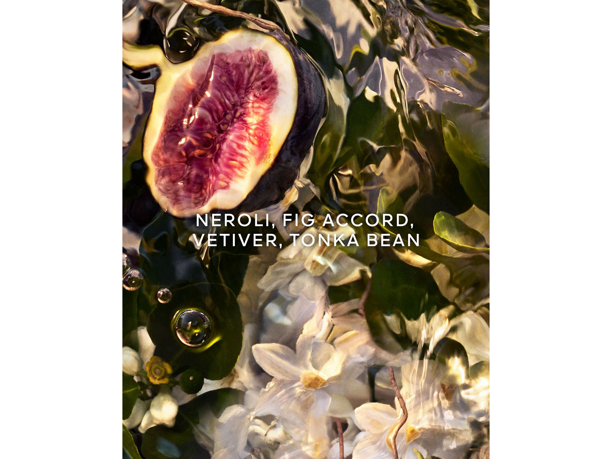 Aqua Allegoria Nerolia Vetiver Forte Eau de Parfum 4.2 oz. — Image 4