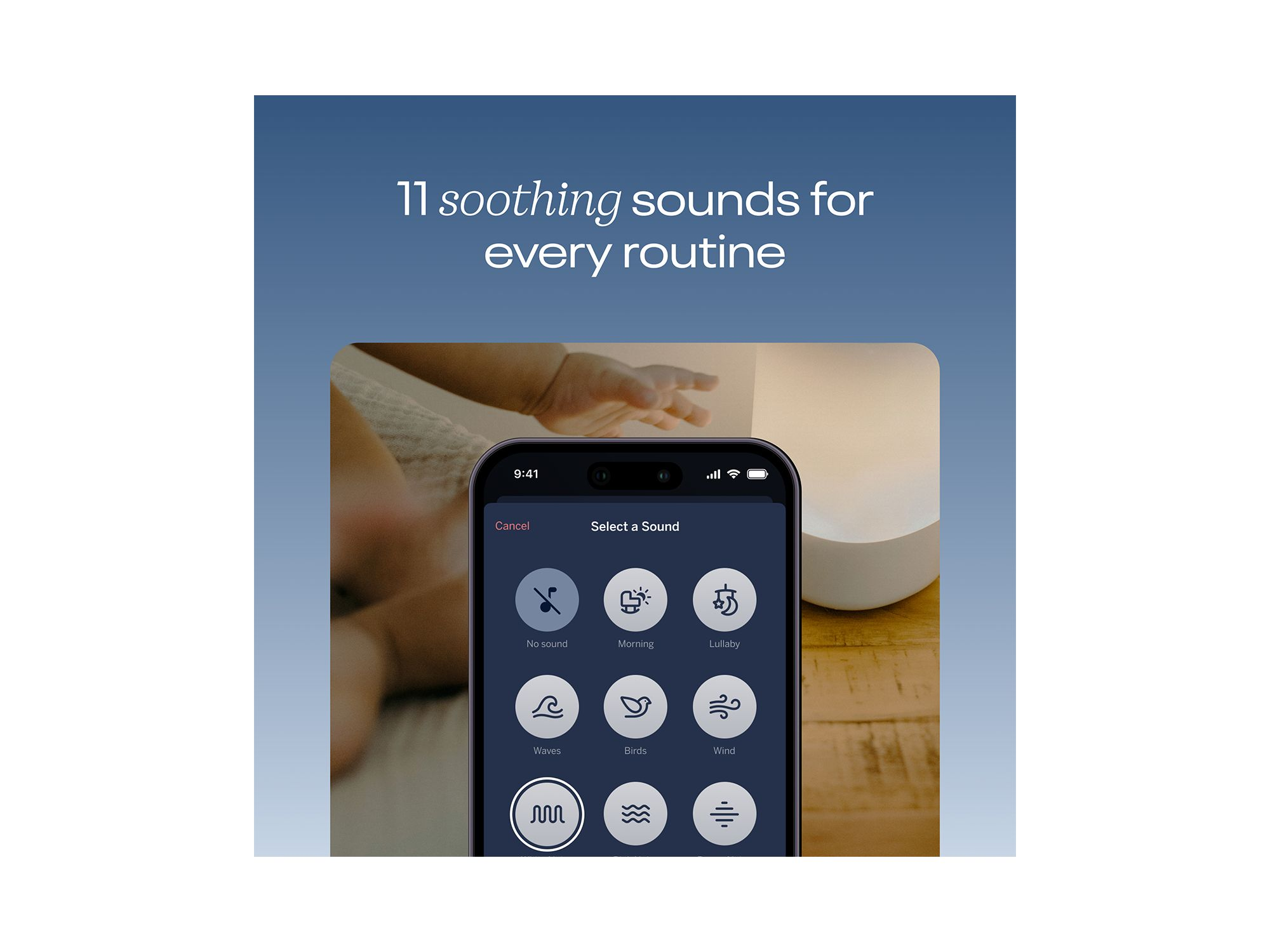 Sound and Light — Image 5