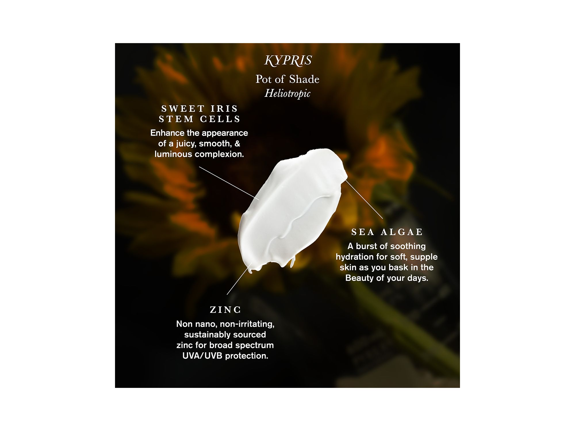 Pot of Shade Heliotropic SPF 30 Sunscreen 2.3 oz. — Image 5
