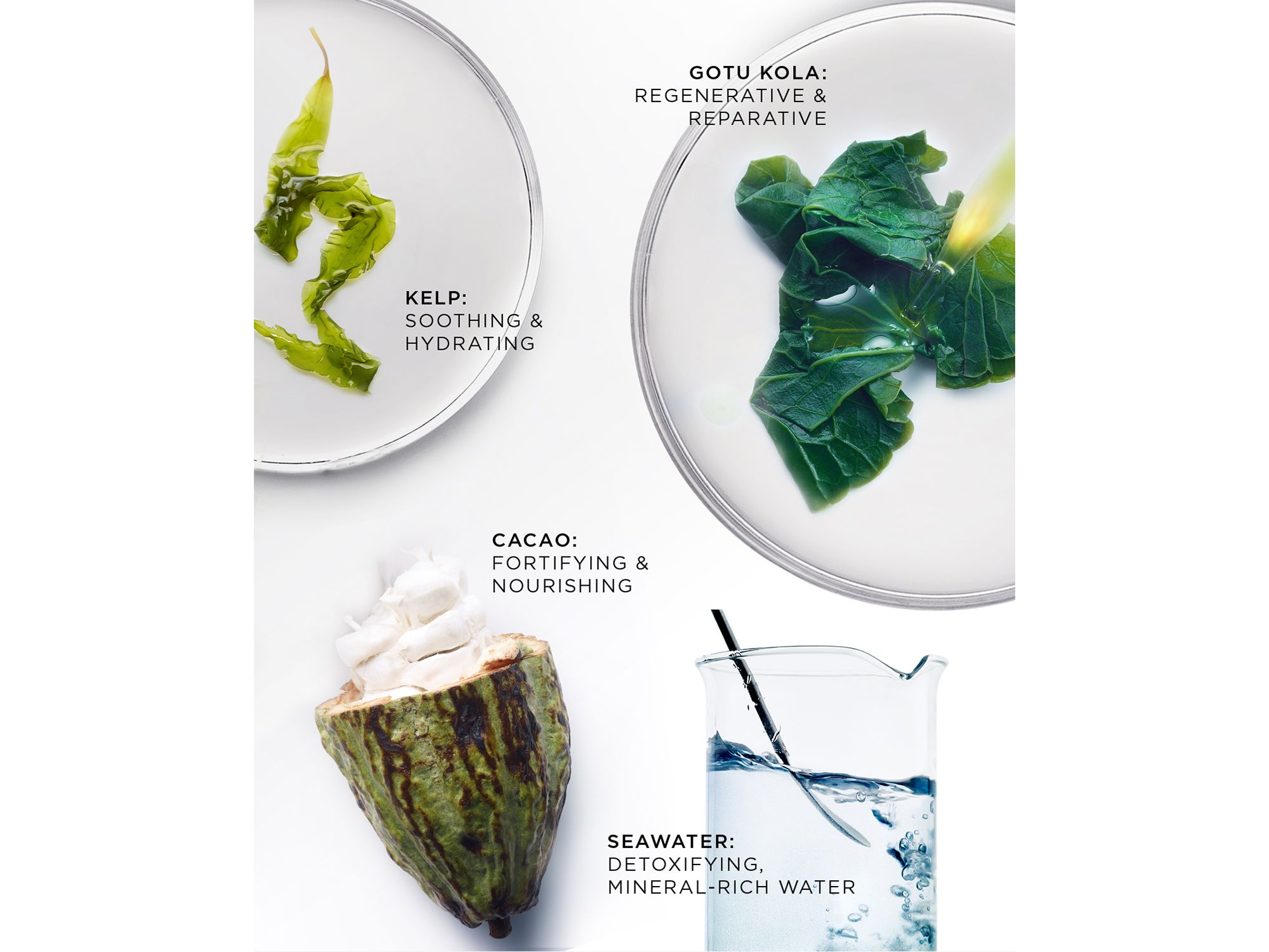 The Brilliant Overnight Recharge Cream — Image 3