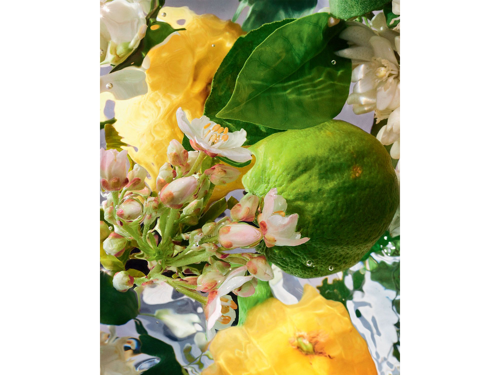 Aqua Allegoria Bergamote Calabria Eau de Toilette 4.2 oz. — Image 3