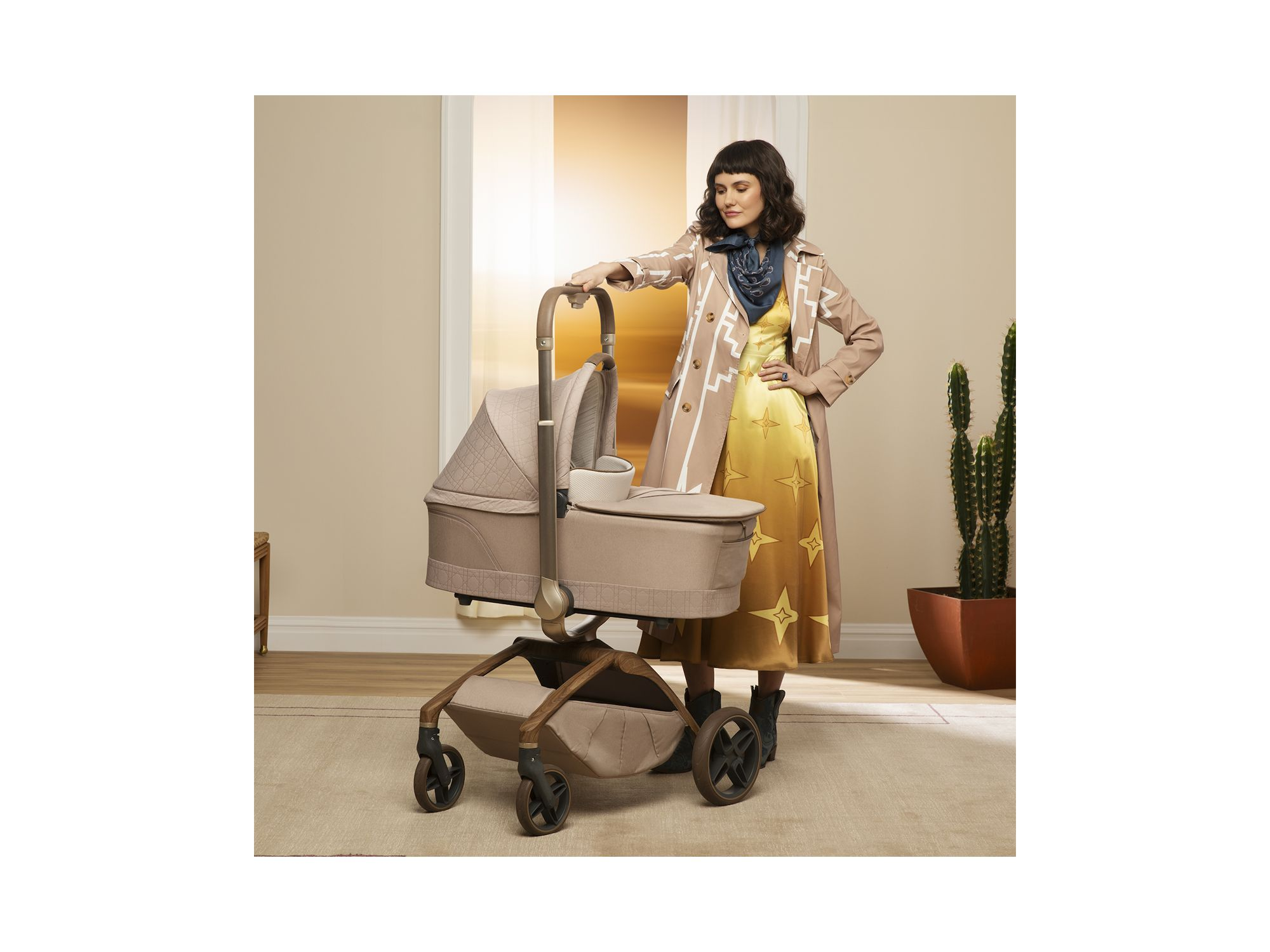 Carriage Accessory — Image 13