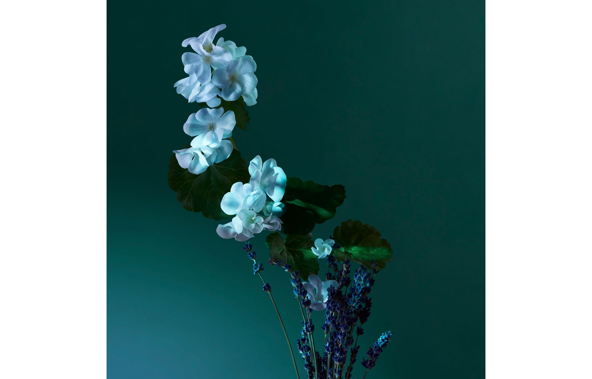 A Balm of Calm Eau de Parfum — Image 6