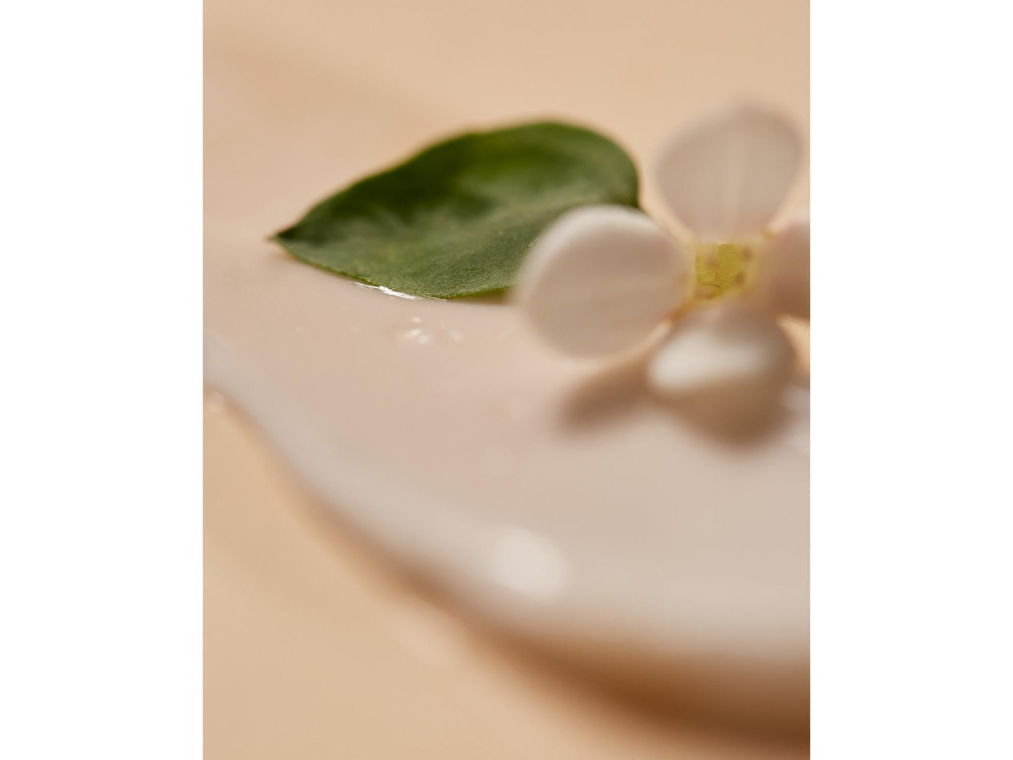 Natural Repair Cream — Image 8