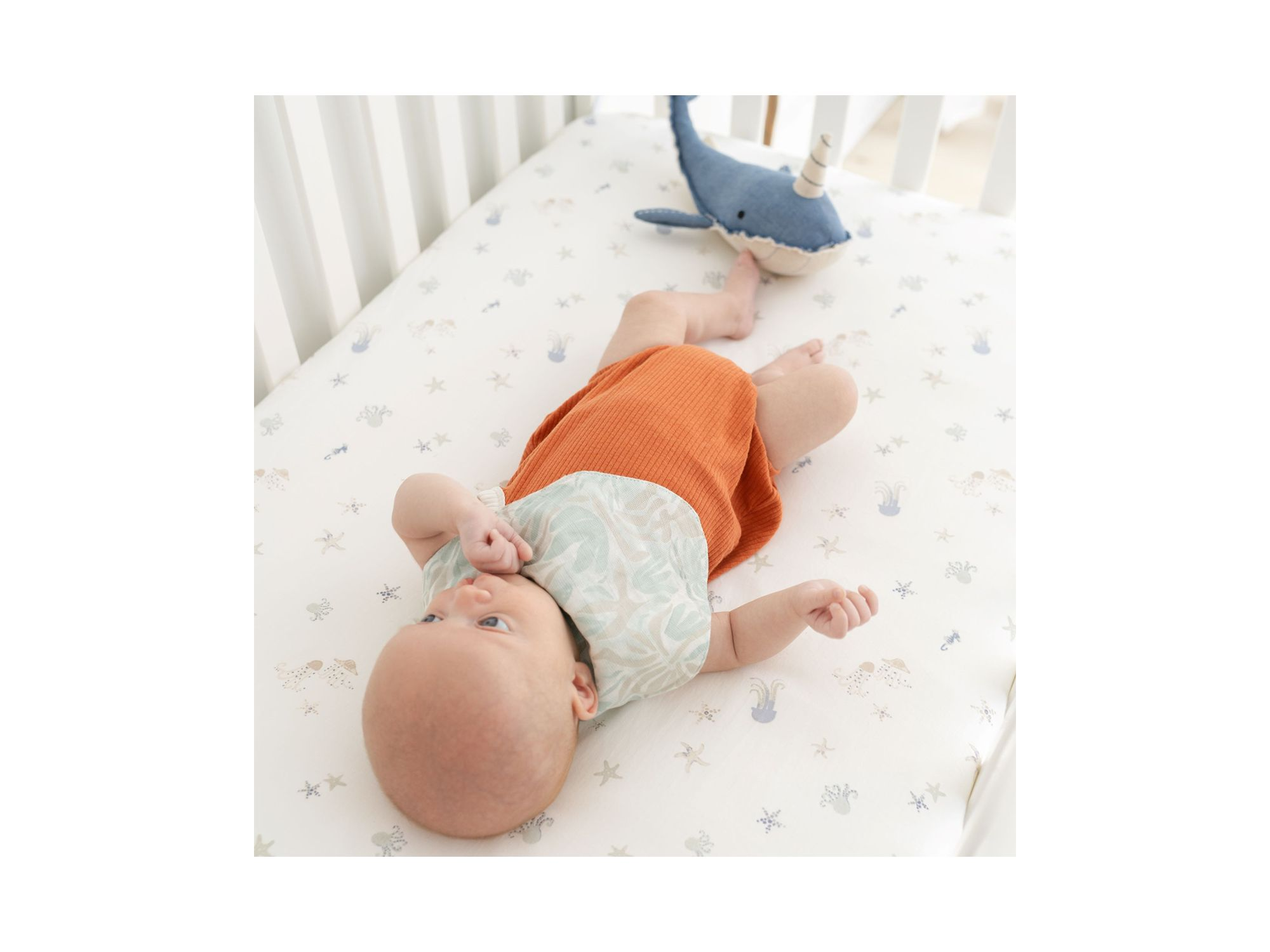 Cove Beach Life Muslin Bibs, 3 Pack - Ages 0-3 — Image 5