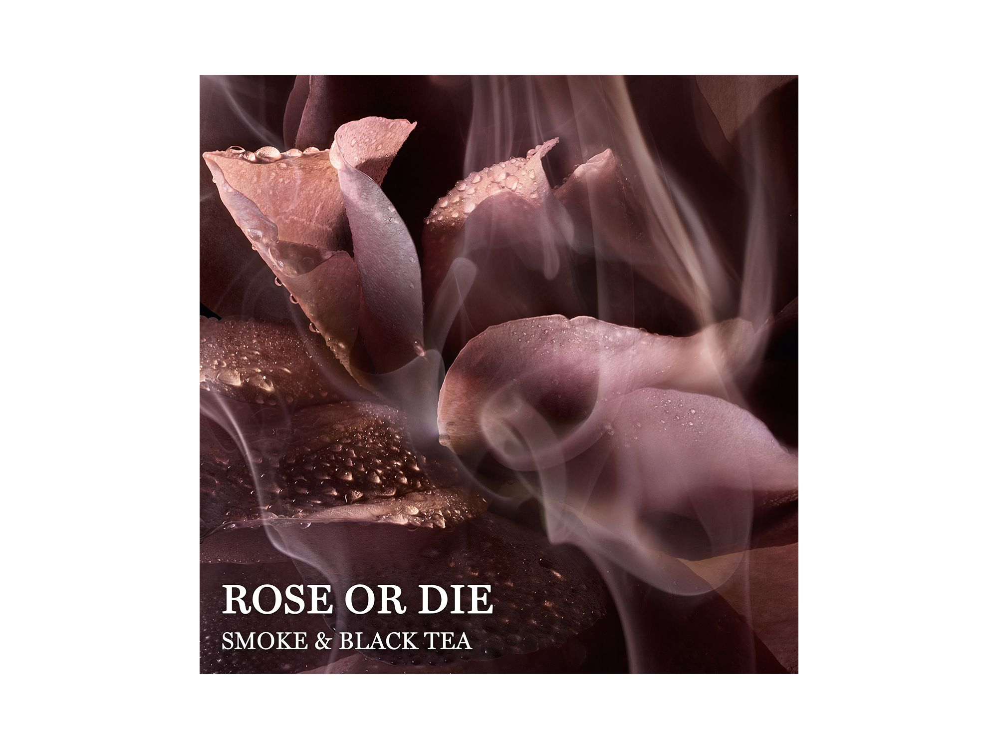 Absolue Rose or Die Eau de Parfum 3.4 oz. — Image 3