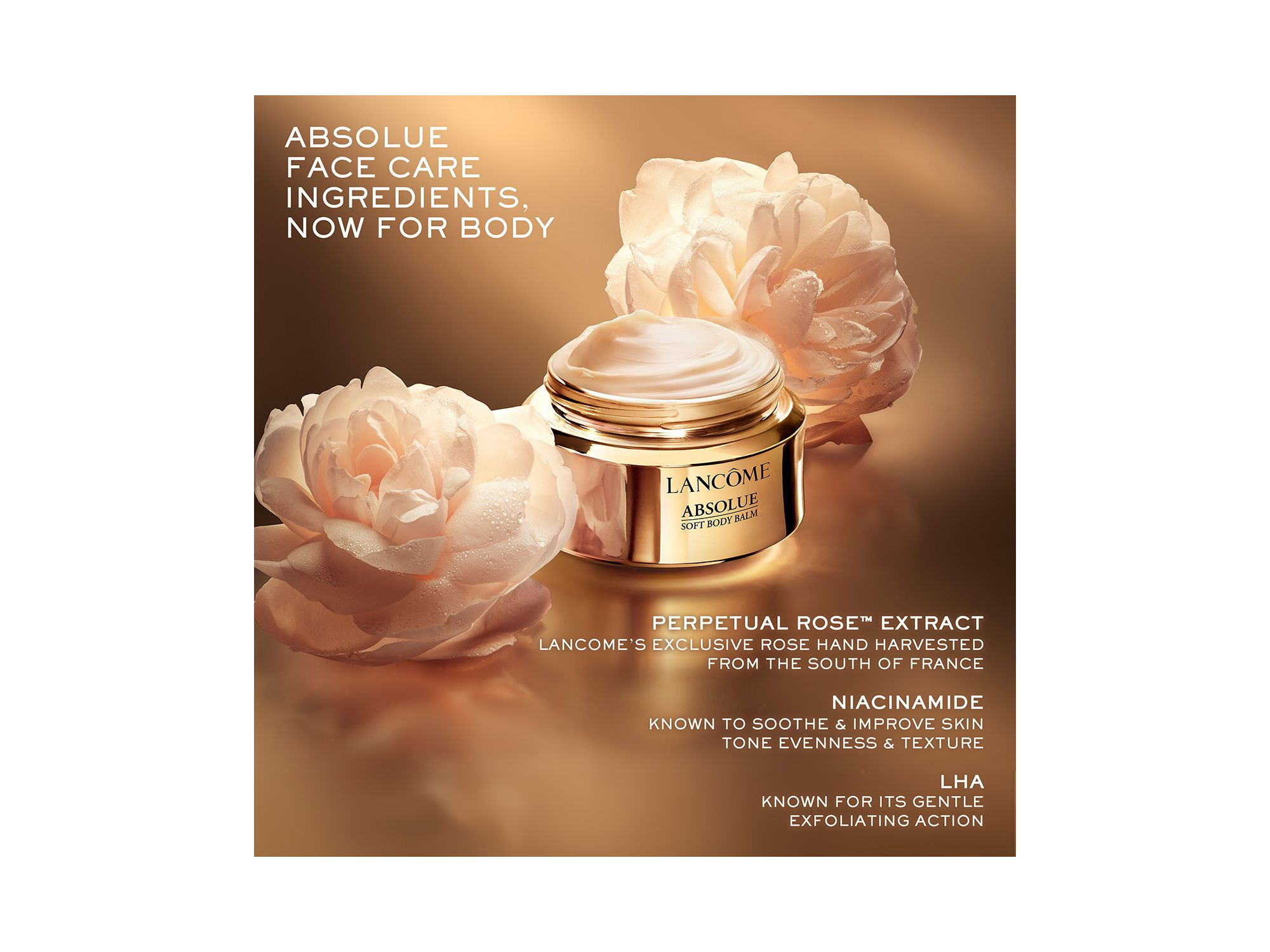 Absolue Soft Body Balm 6.7 oz. — Image 3