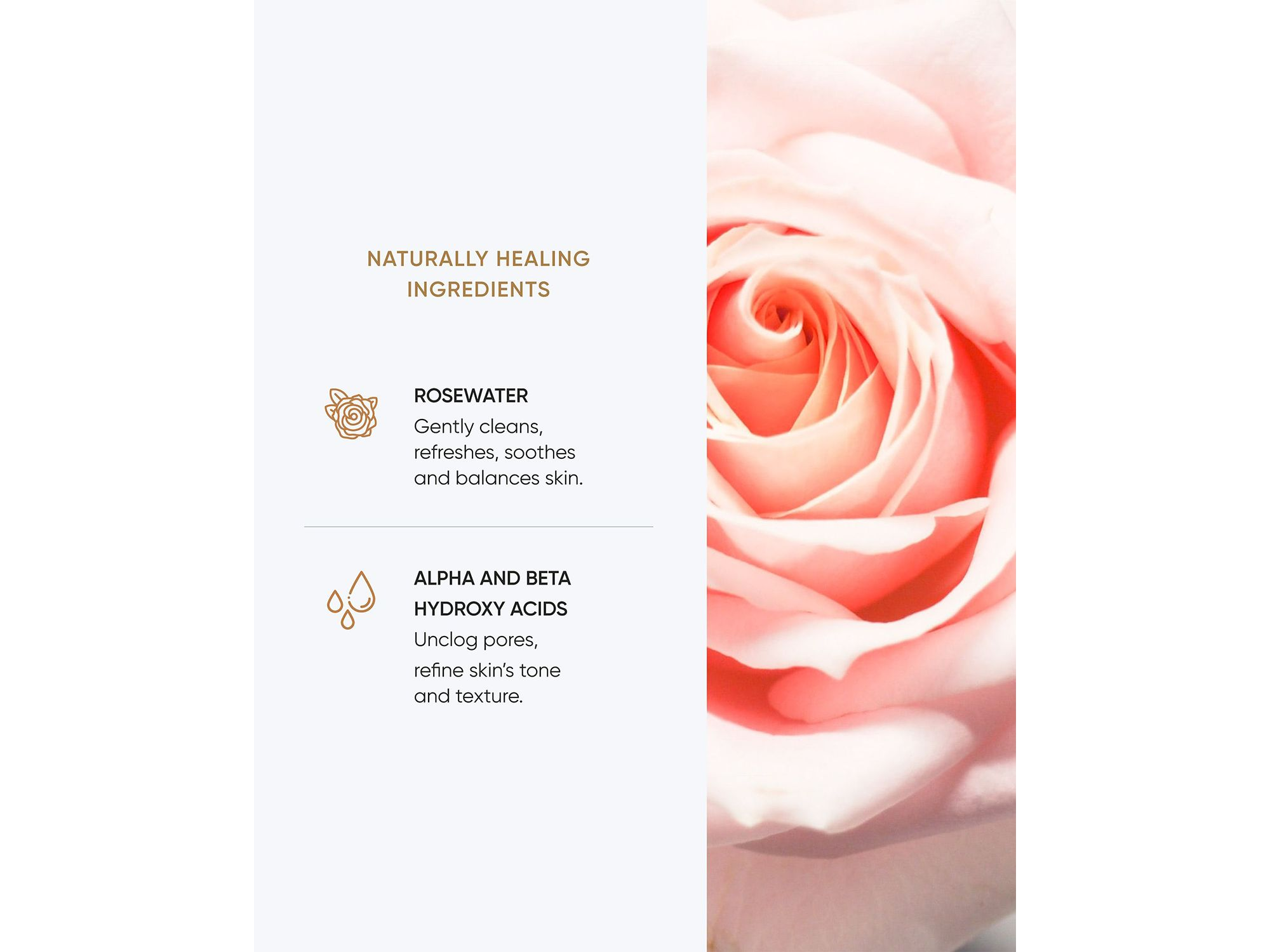 AHA/BHA Rosewater Toner 3.4 oz. — Image 4