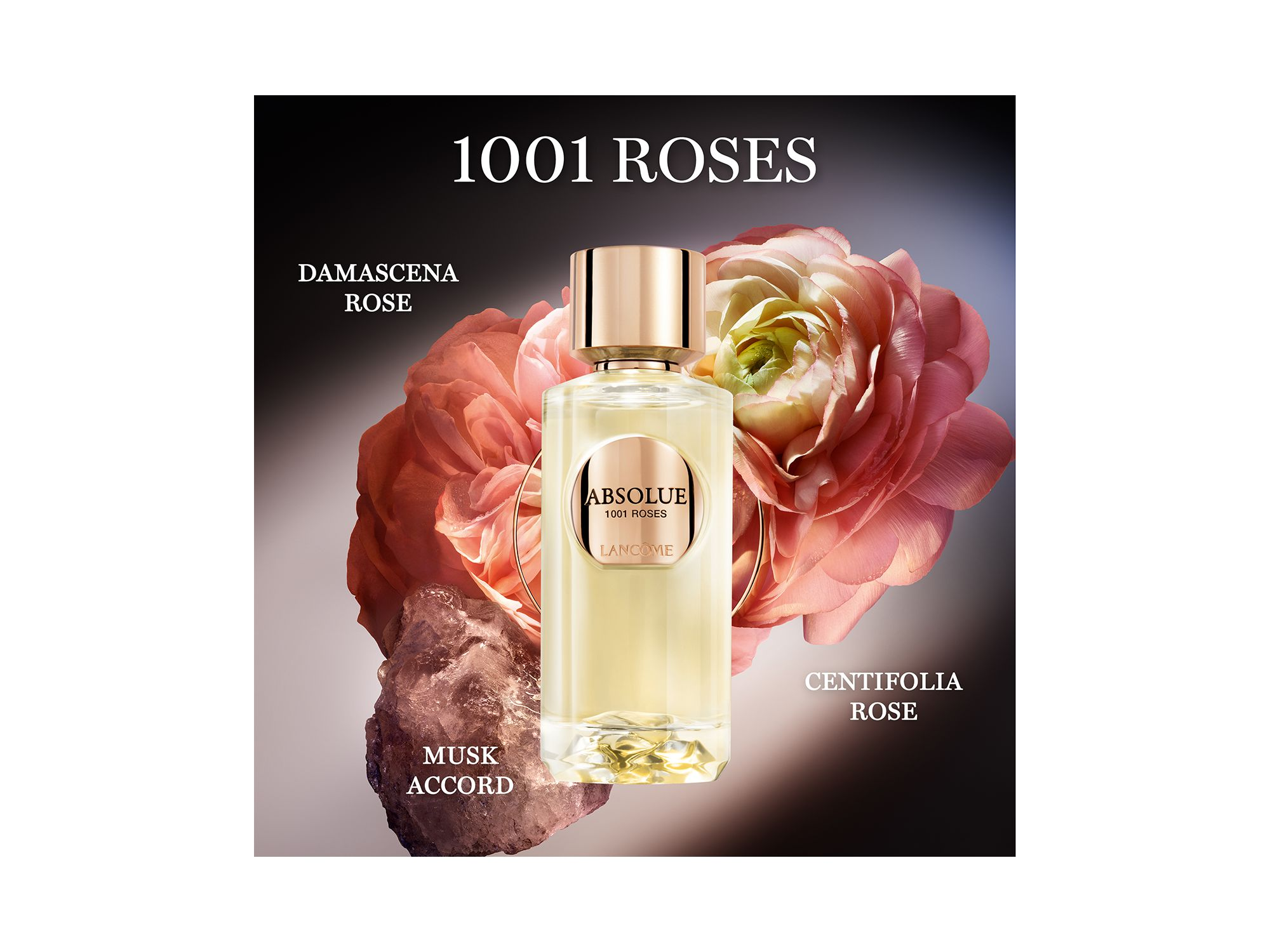 Absolue 1001 Roses Eau de Parfum 3.4 oz. — Image 5