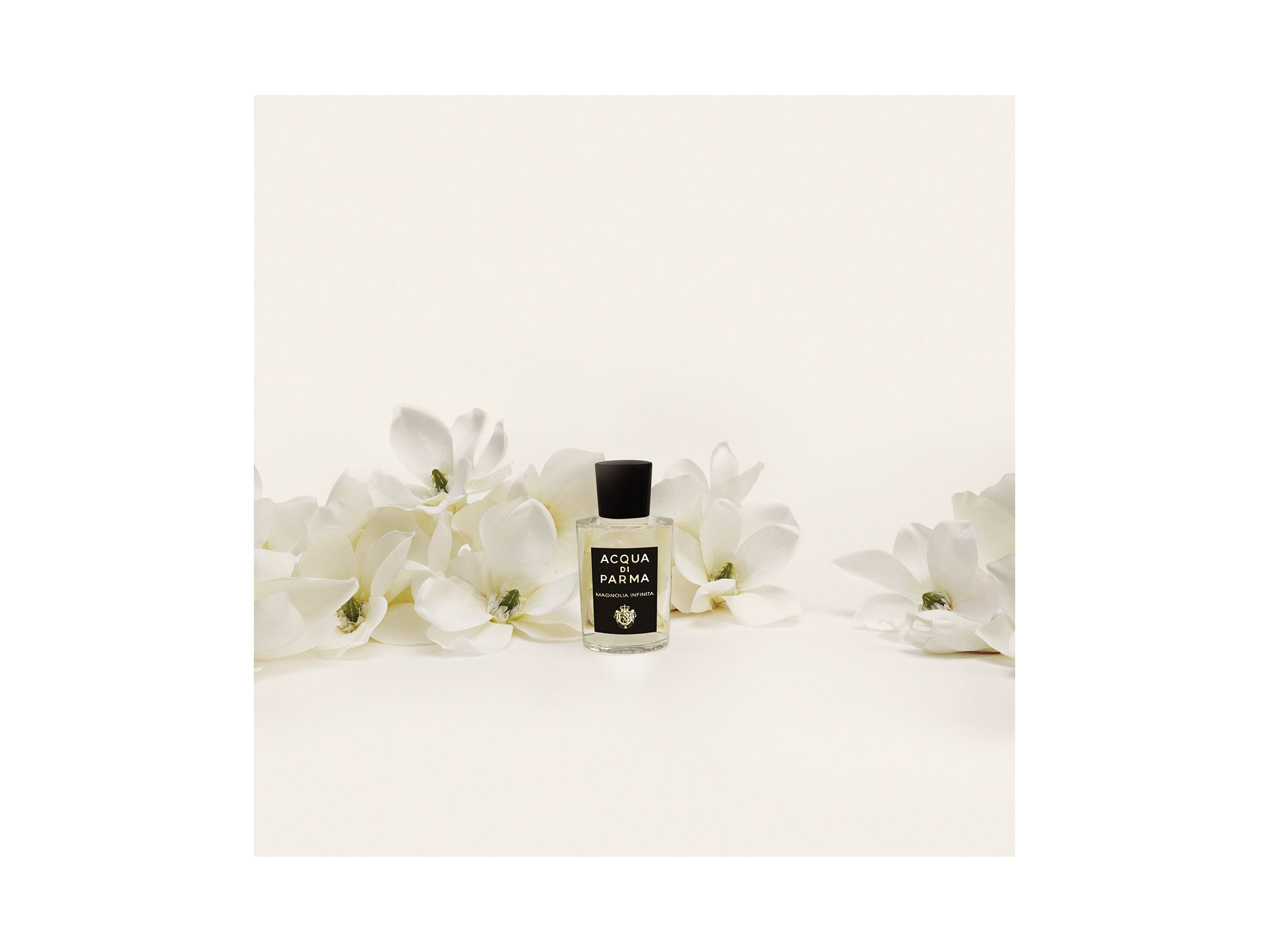Signatures of the Sun Magnolia Infinita Eau de Parfum 6 oz. — Image 6