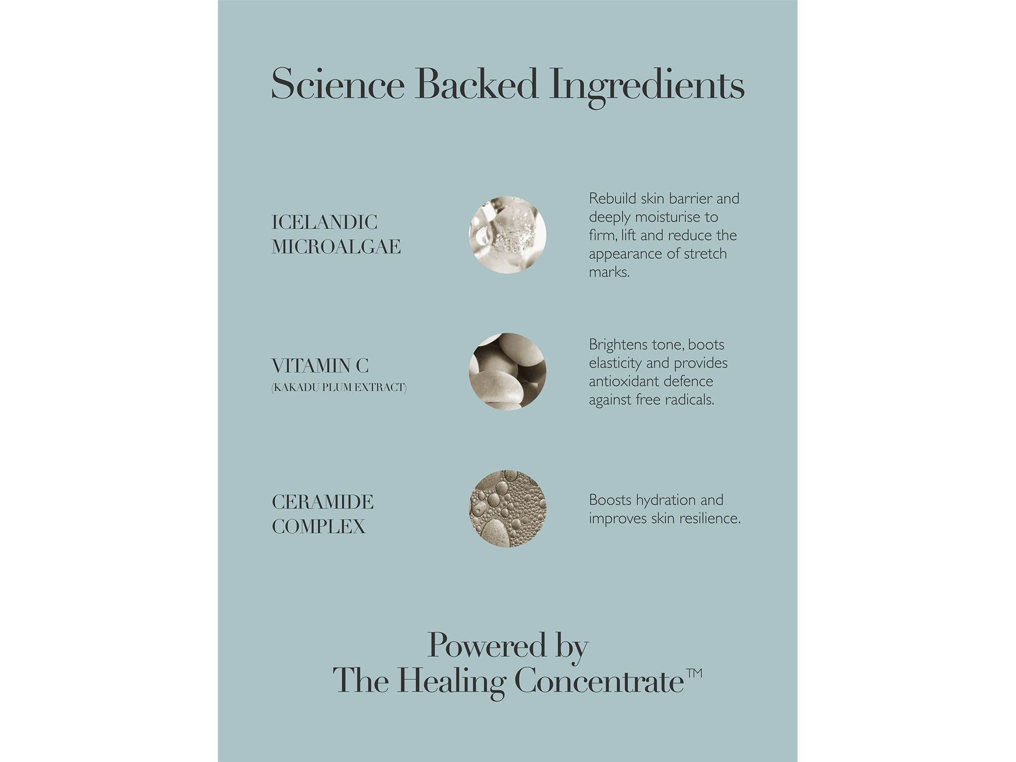 Body Serum 4.4 oz. — Image 6
