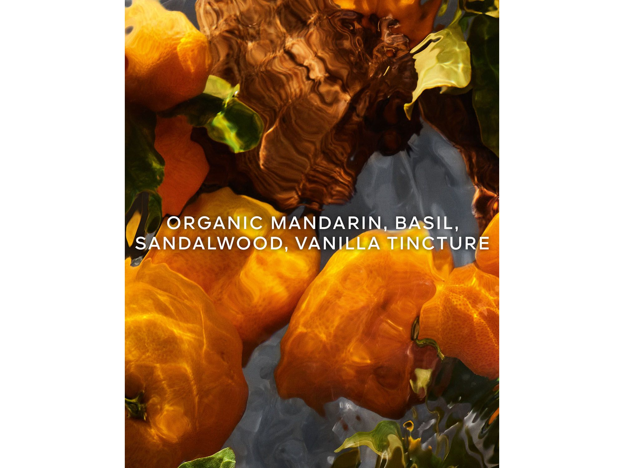 Aqua Allegoria Mandarine Basilic Forte Eau de Parfum 4.2 oz. — Image 6