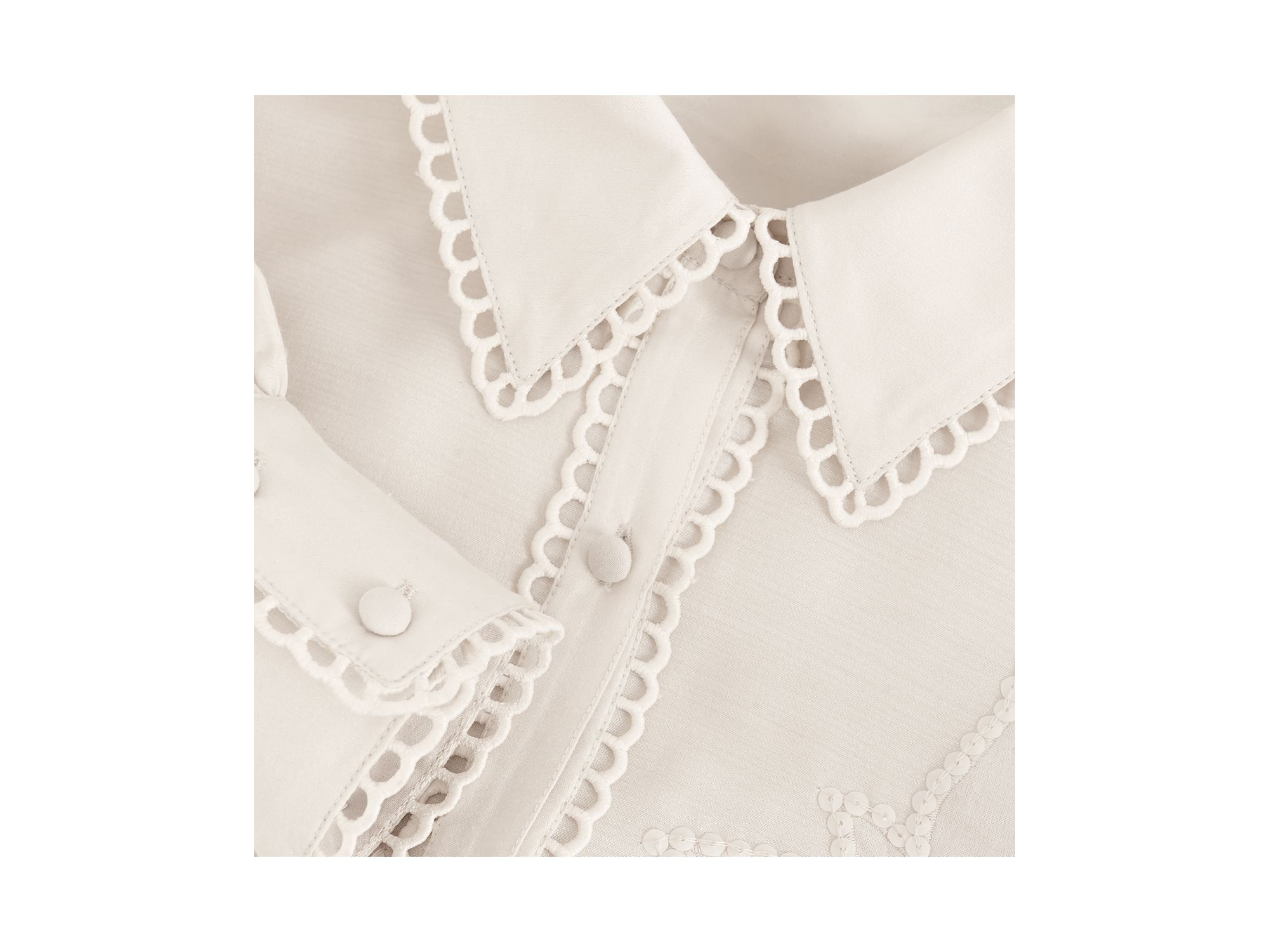 Aneira Sequin Blouse — Image 3