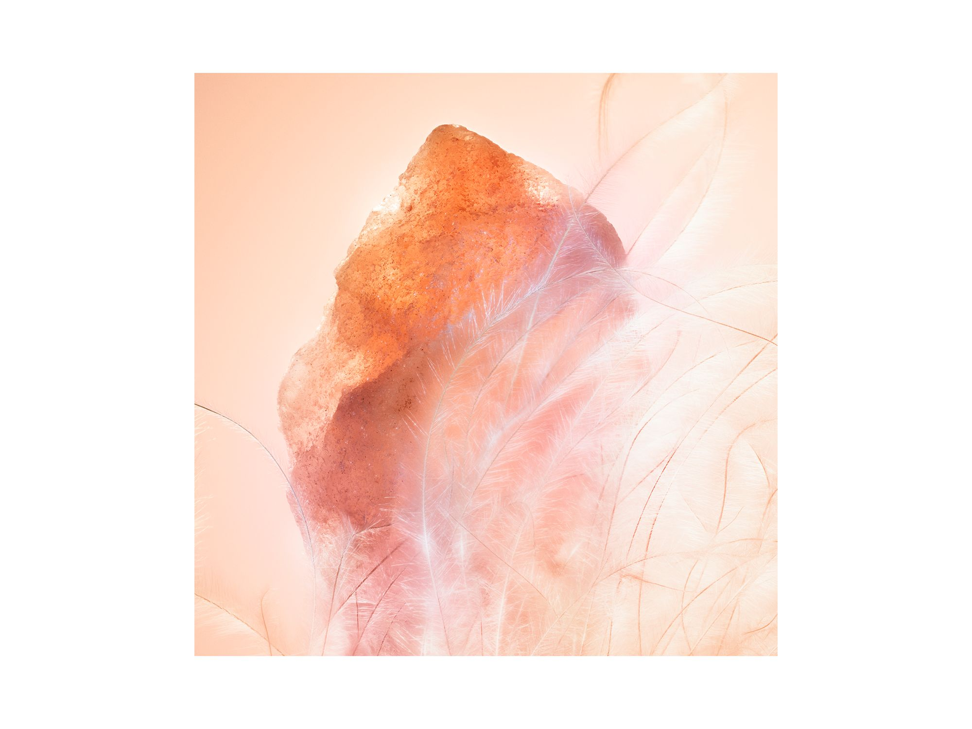 ENTRE GENRES Parfum — Image 3