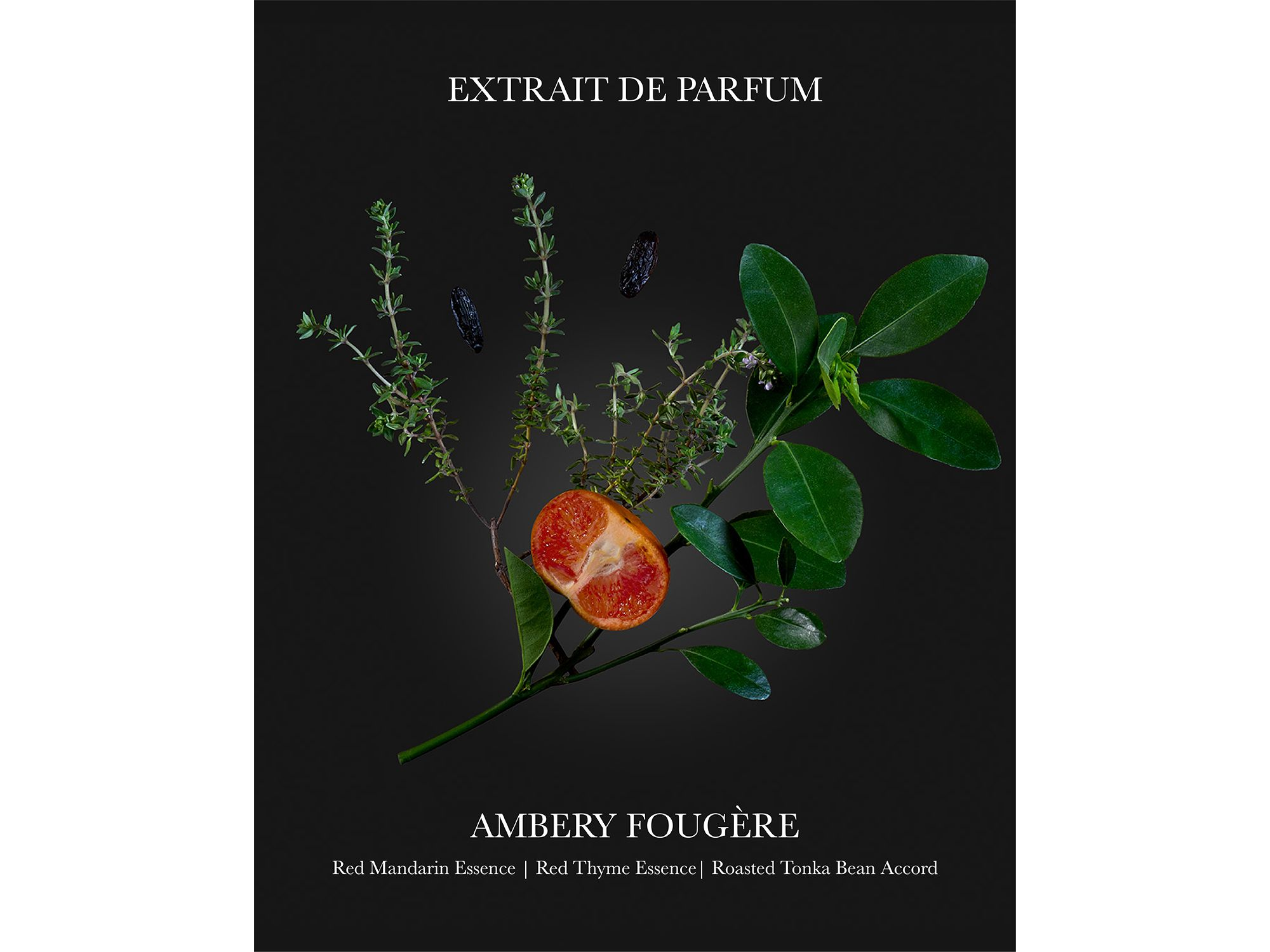 Carios Extrait de Parfum 3.38 oz. — Image 6