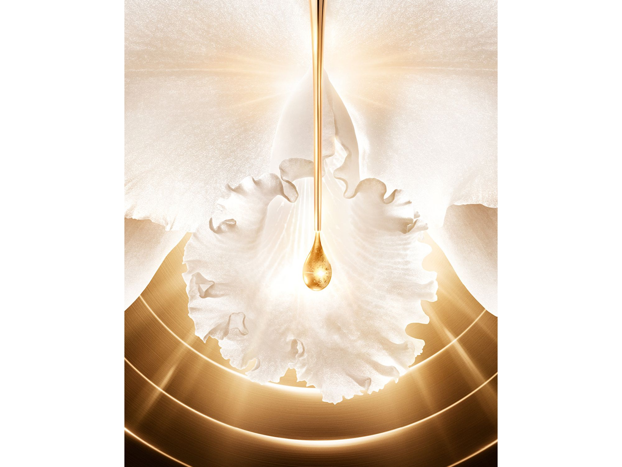 Orchidée Impériale Gold Nobile The Serum — Image 3