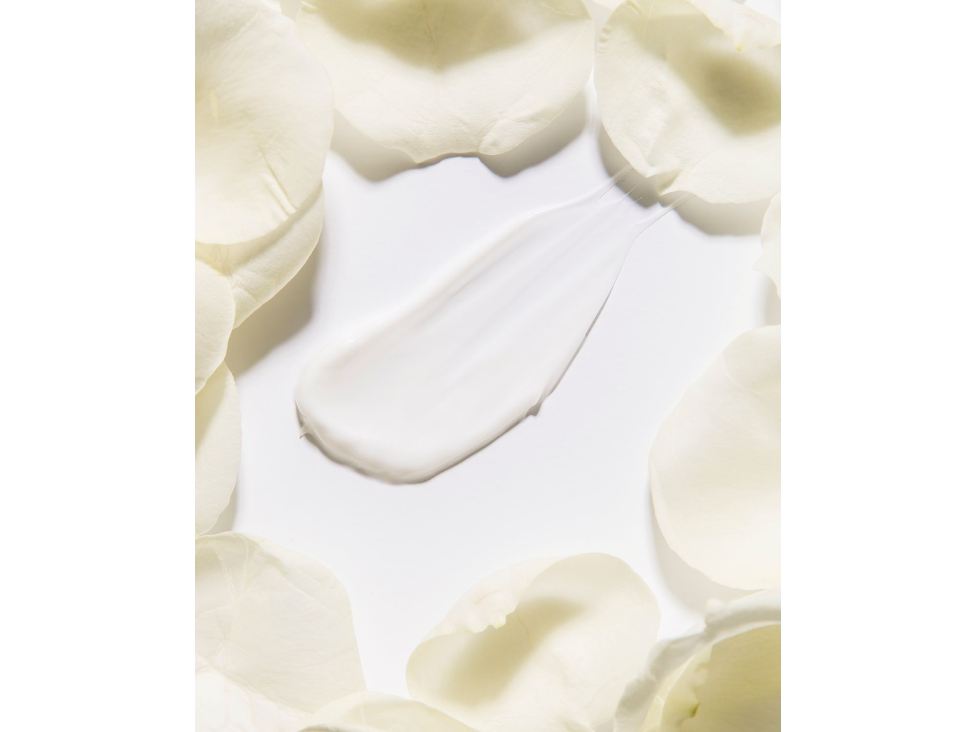 Rose Ceramide Cream — Image 5