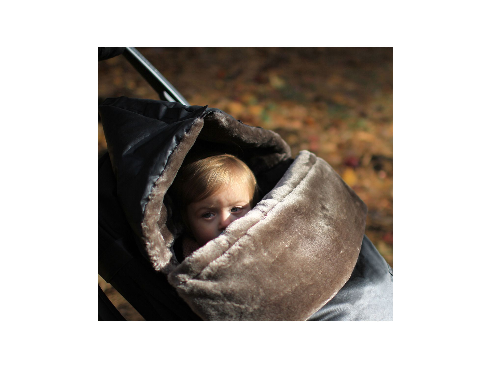 WaxedPOD — Image 4