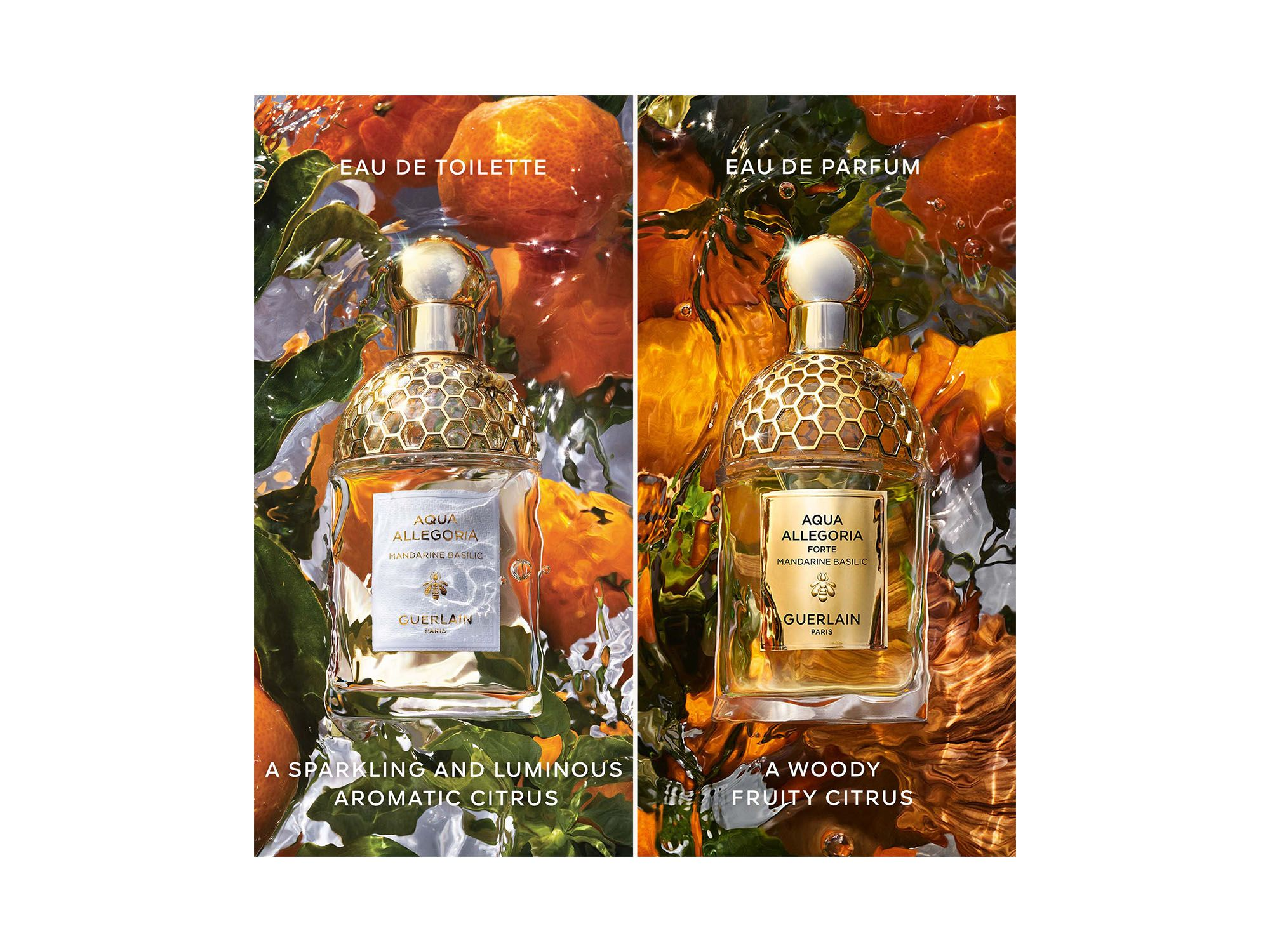 Aqua Allegoria Mandarine Basilic Forte Eau de Parfum 4.2 oz. — Image 4