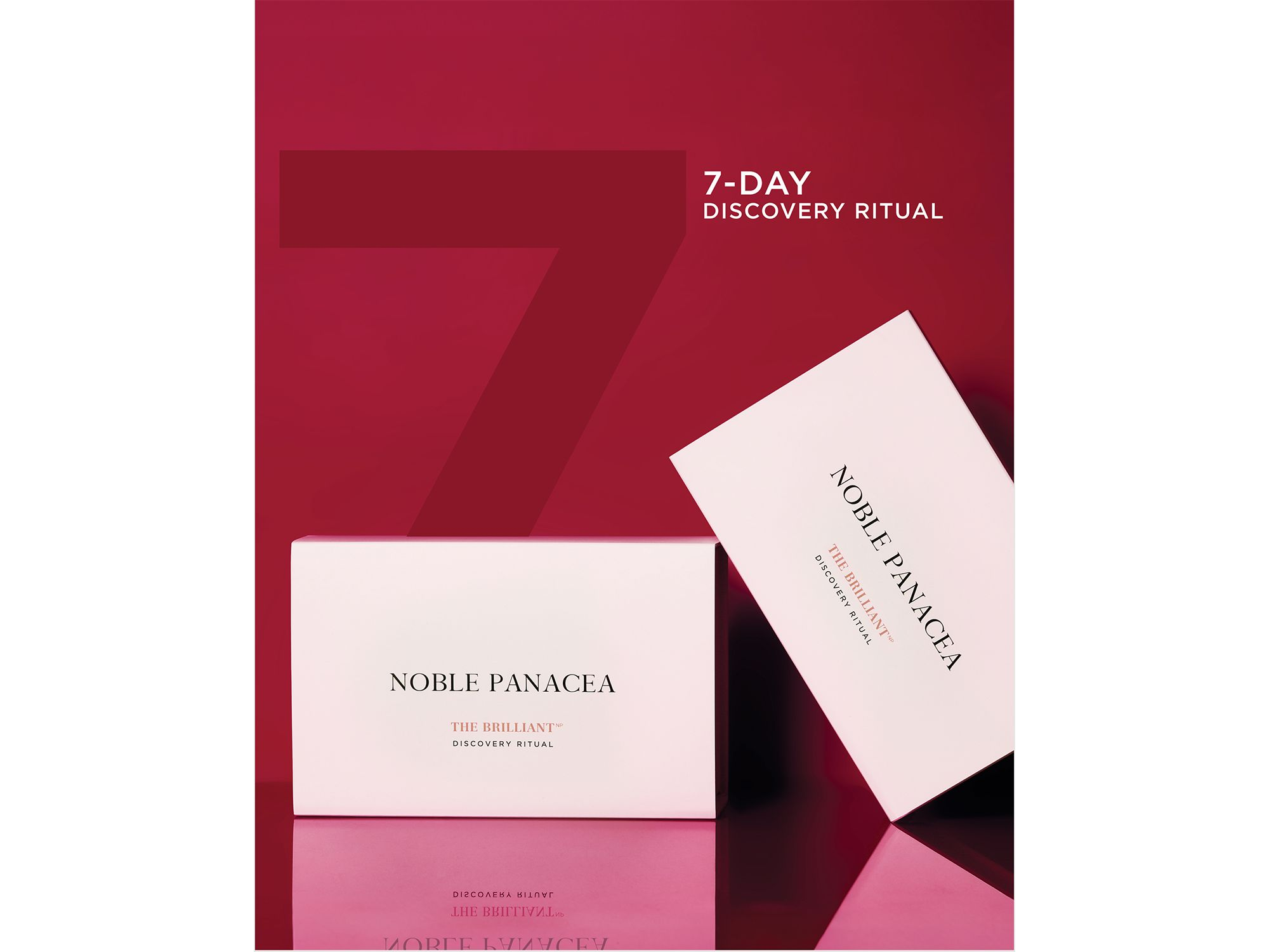 The Brilliant Discovery Ritual ($195 value) — Image 4