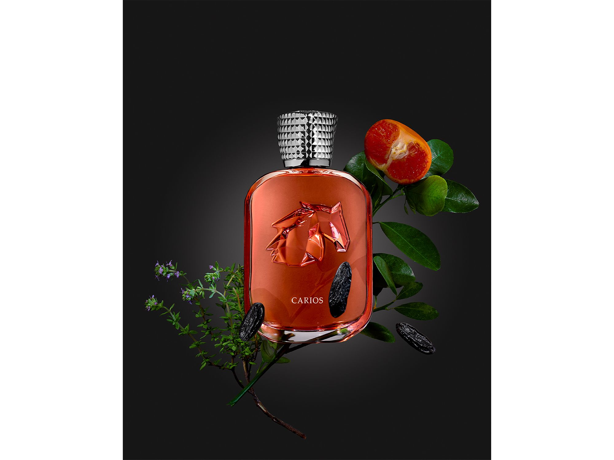 Carios Extrait de Parfum 3.38 oz. — Image 5