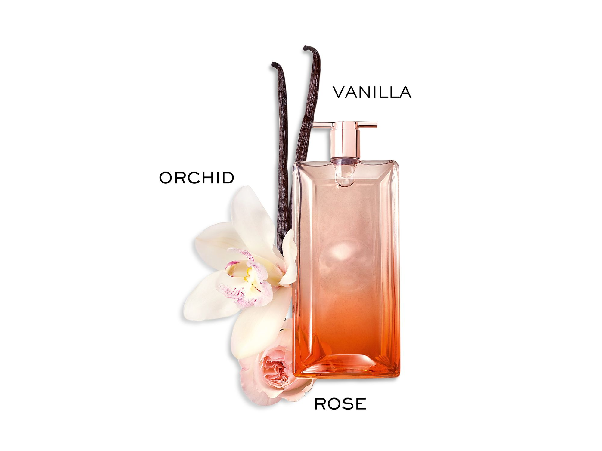 Idôle Now Eau de Parfum — Image 6