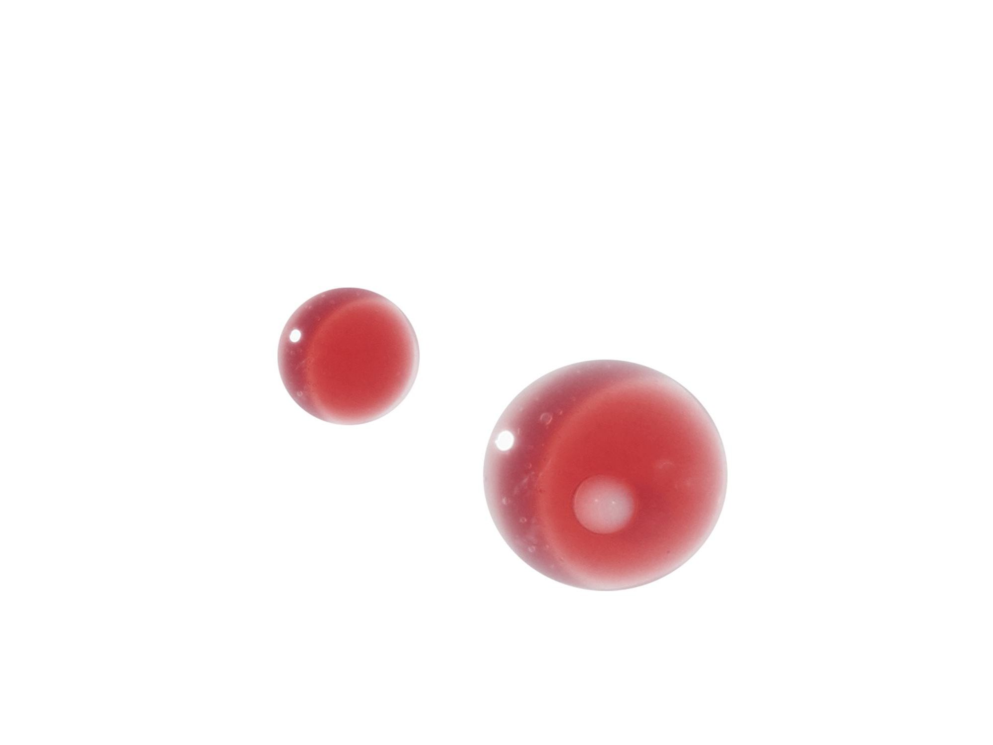 Falling into the Rose Mist — Image 6