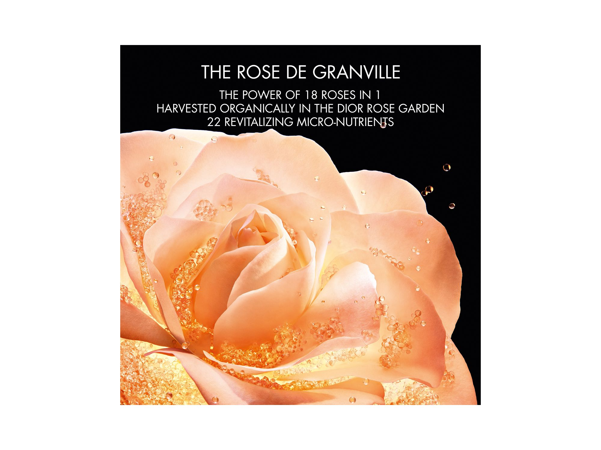 Prestige La Micro-Lotion de Rose Advanced Formula 5 oz. — Image 5