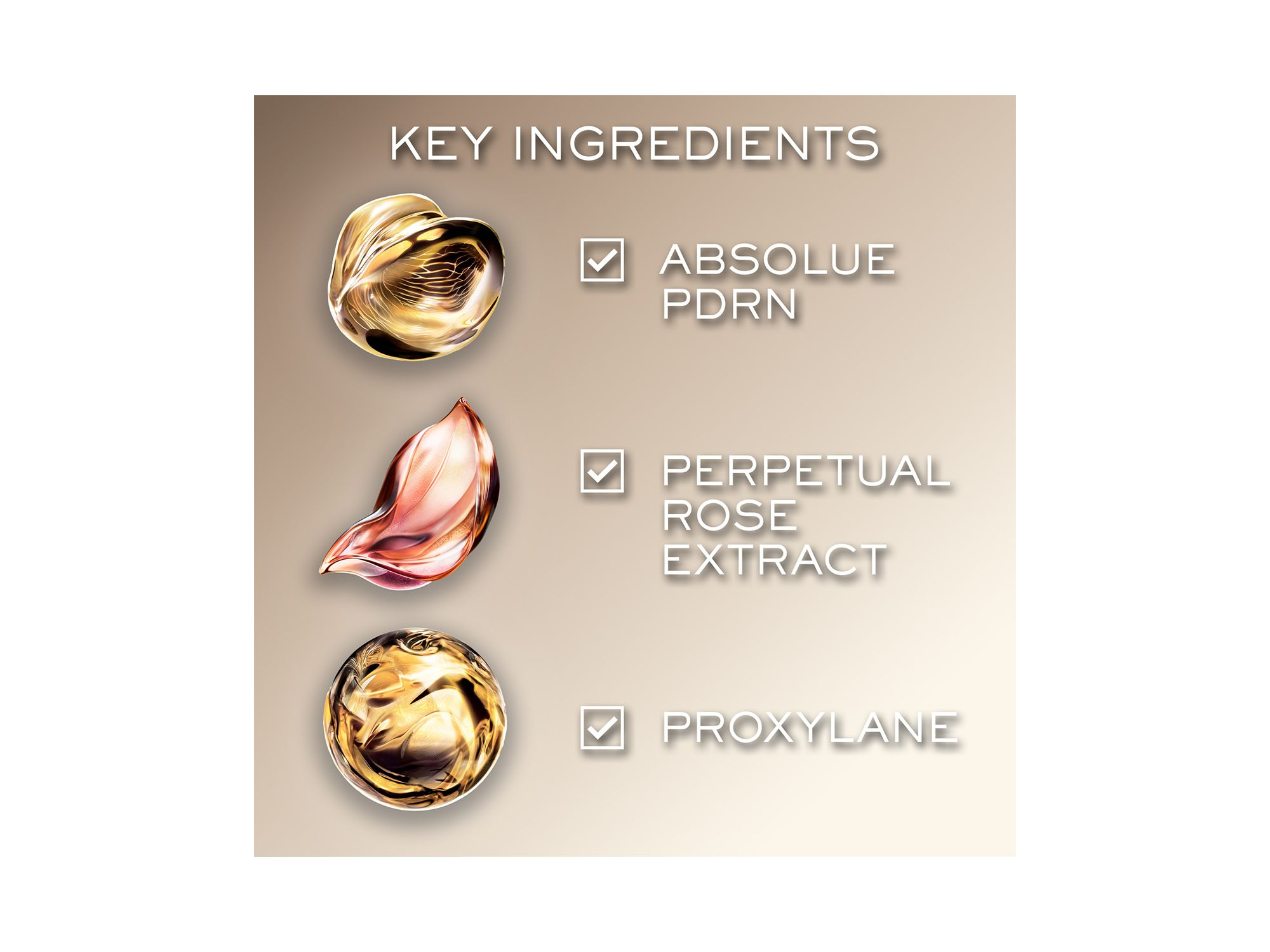 Absolue Longevity Soft Cream Firming Face Moisturizer — Image 8
