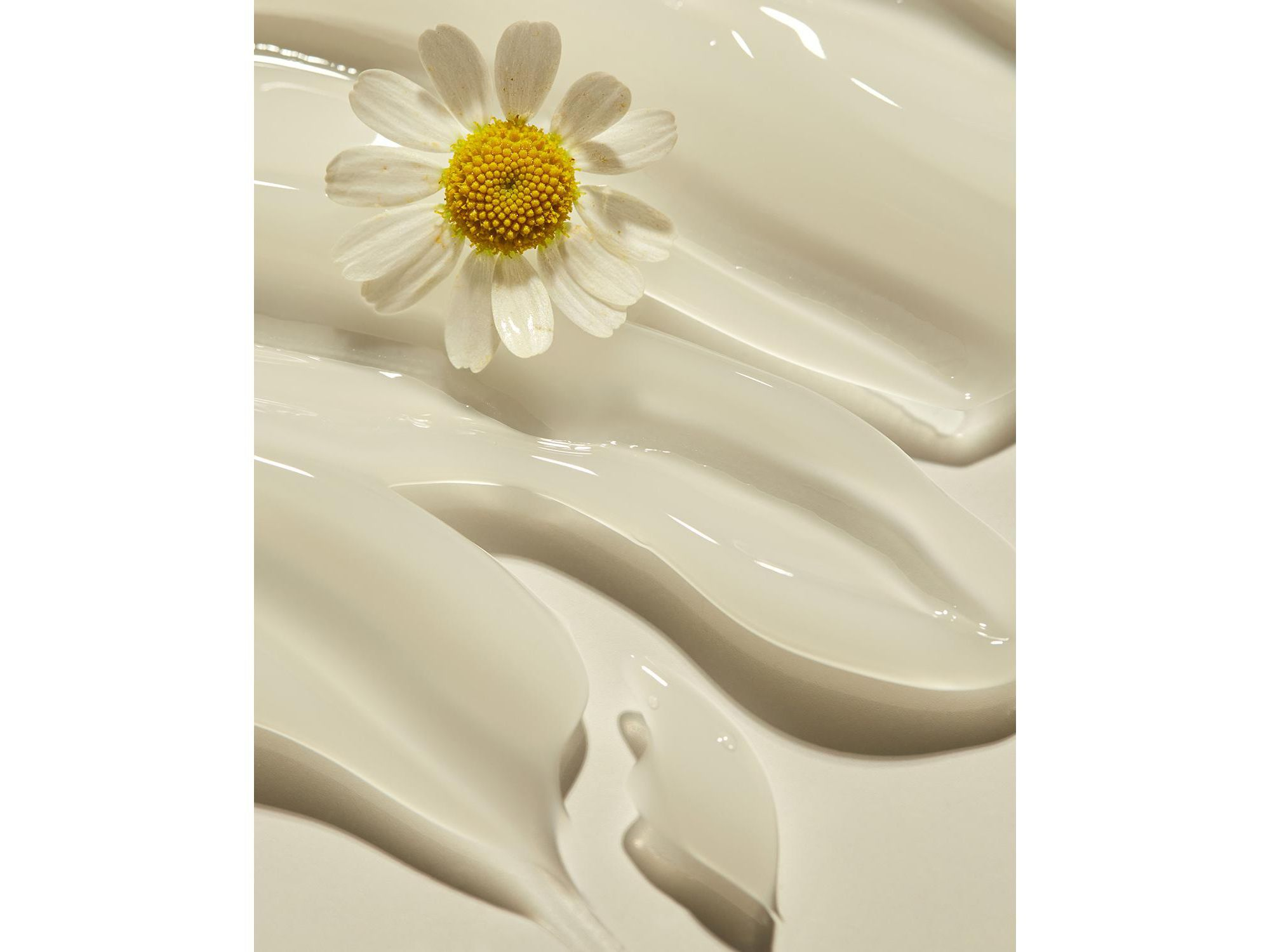 Relief Chamomile Cream — Image 5